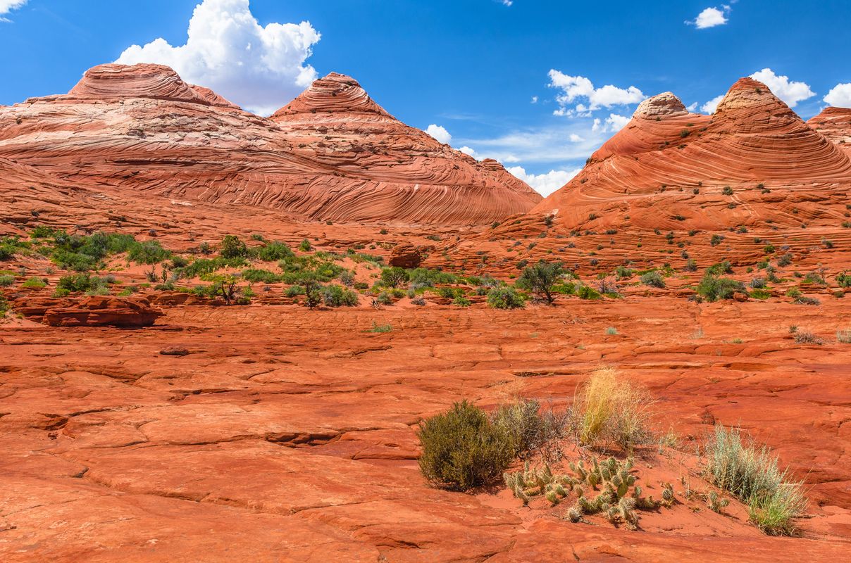 USA - Paria Canyon-Vermilion Cliffs - Utah
