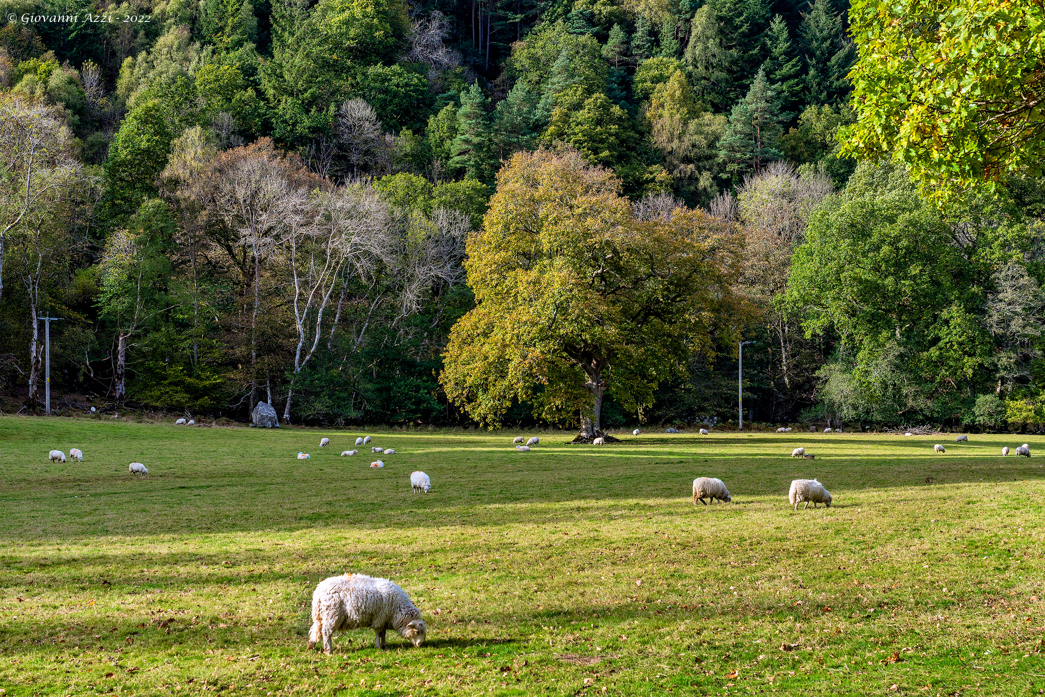 Paesaggio gallese