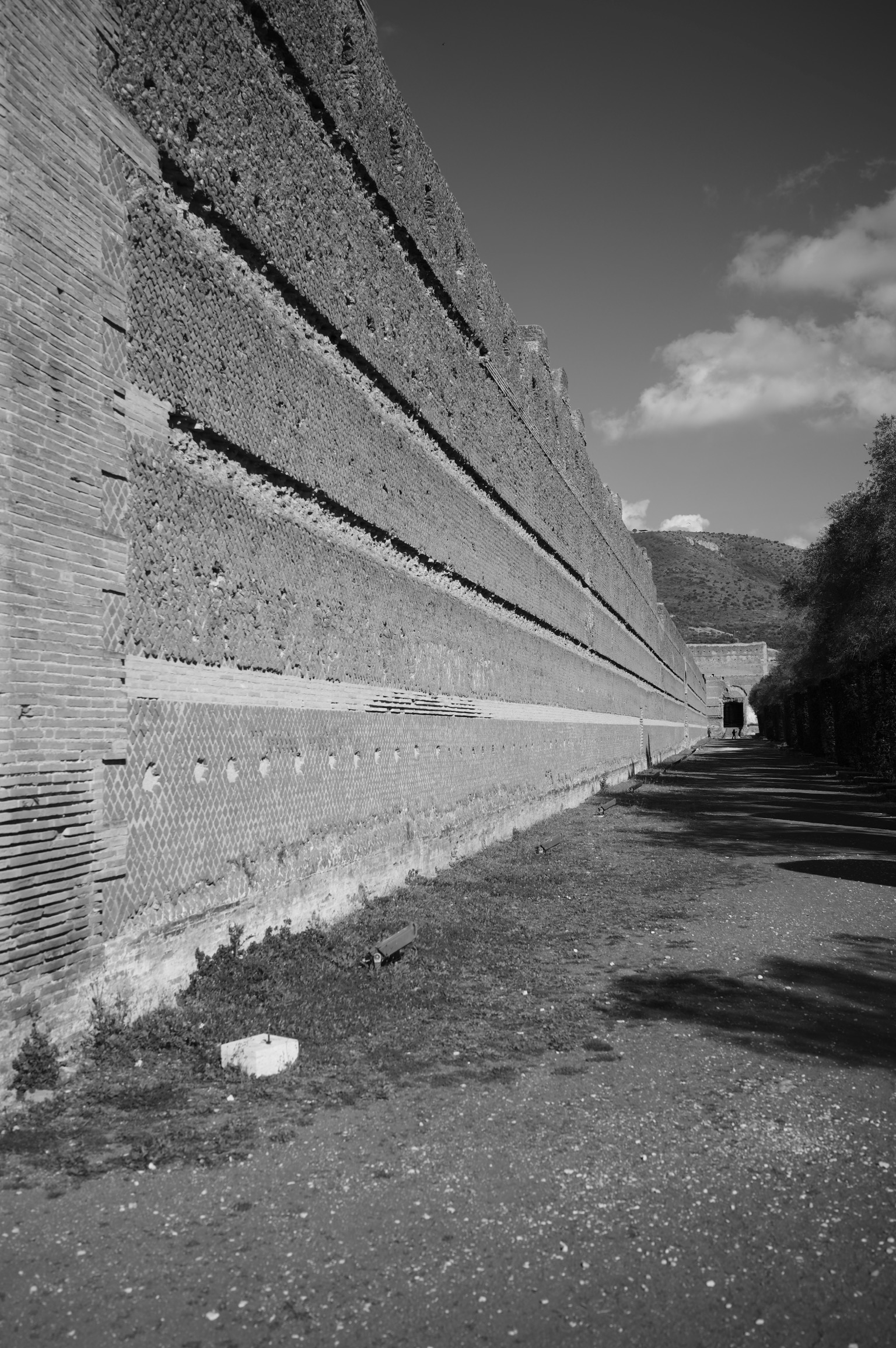 Senza Titolo