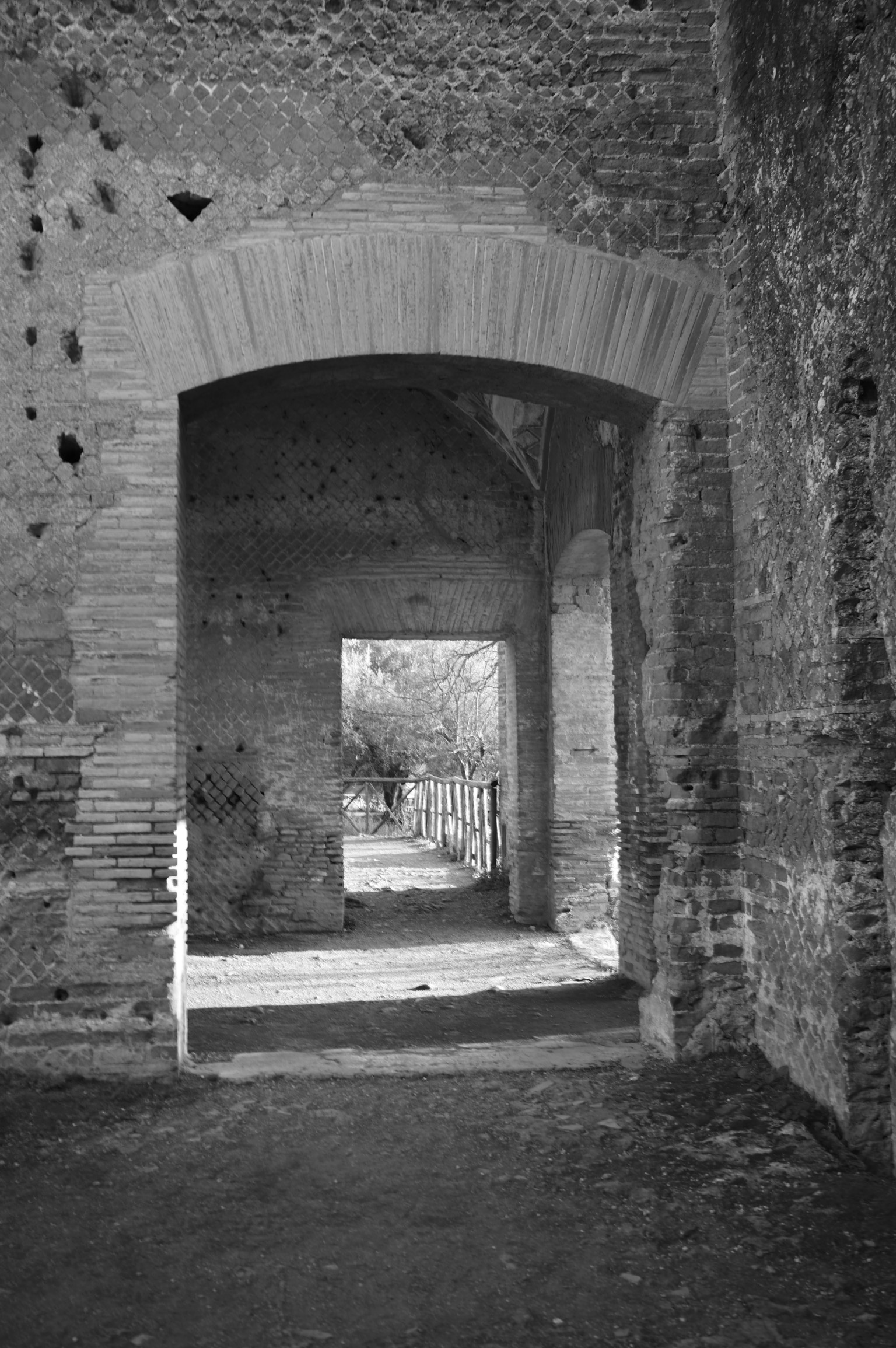 Senza Titolo