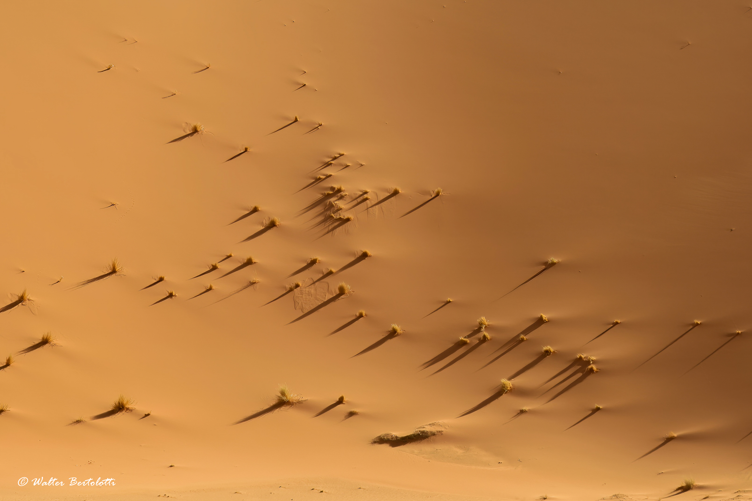 luce e obre prima del tramonto