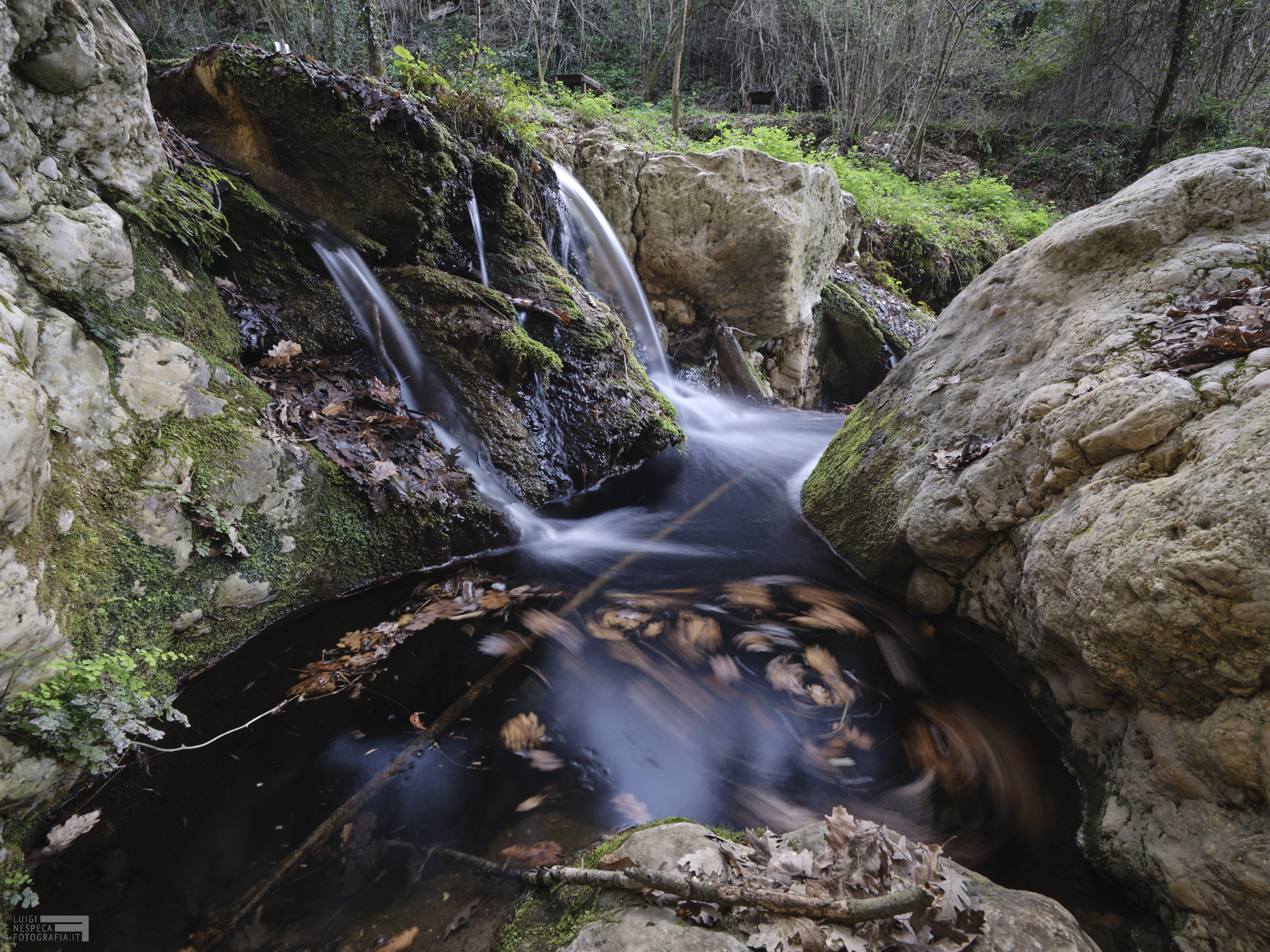 Sorgenti Acqua Rossa - Gallicano nel Lazio / RM