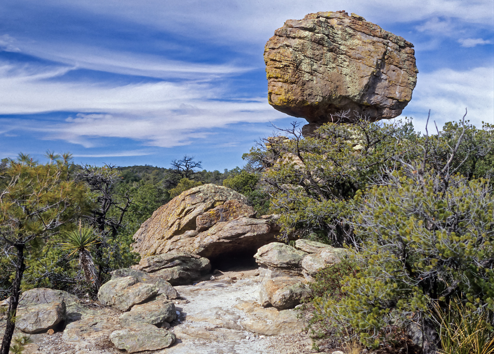 Chiricahua NP