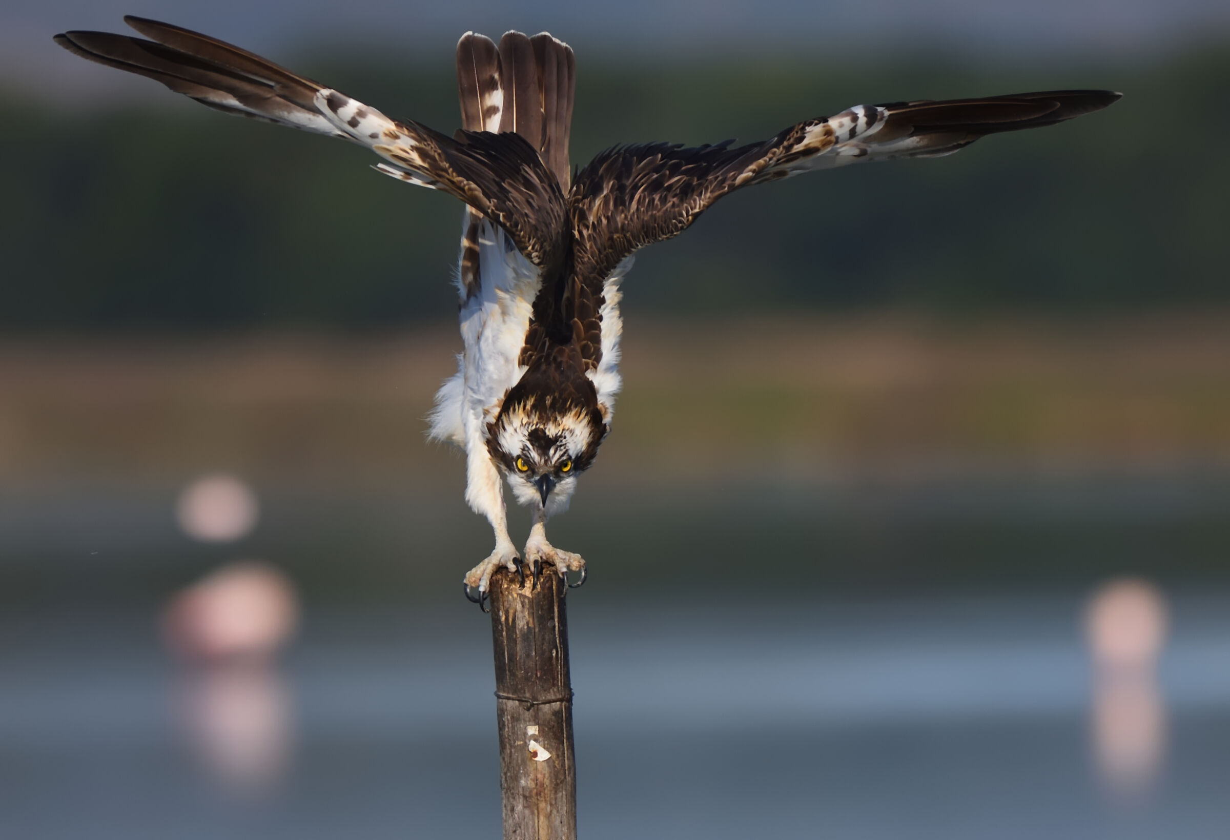 A bit of stretching before the fishing trip...