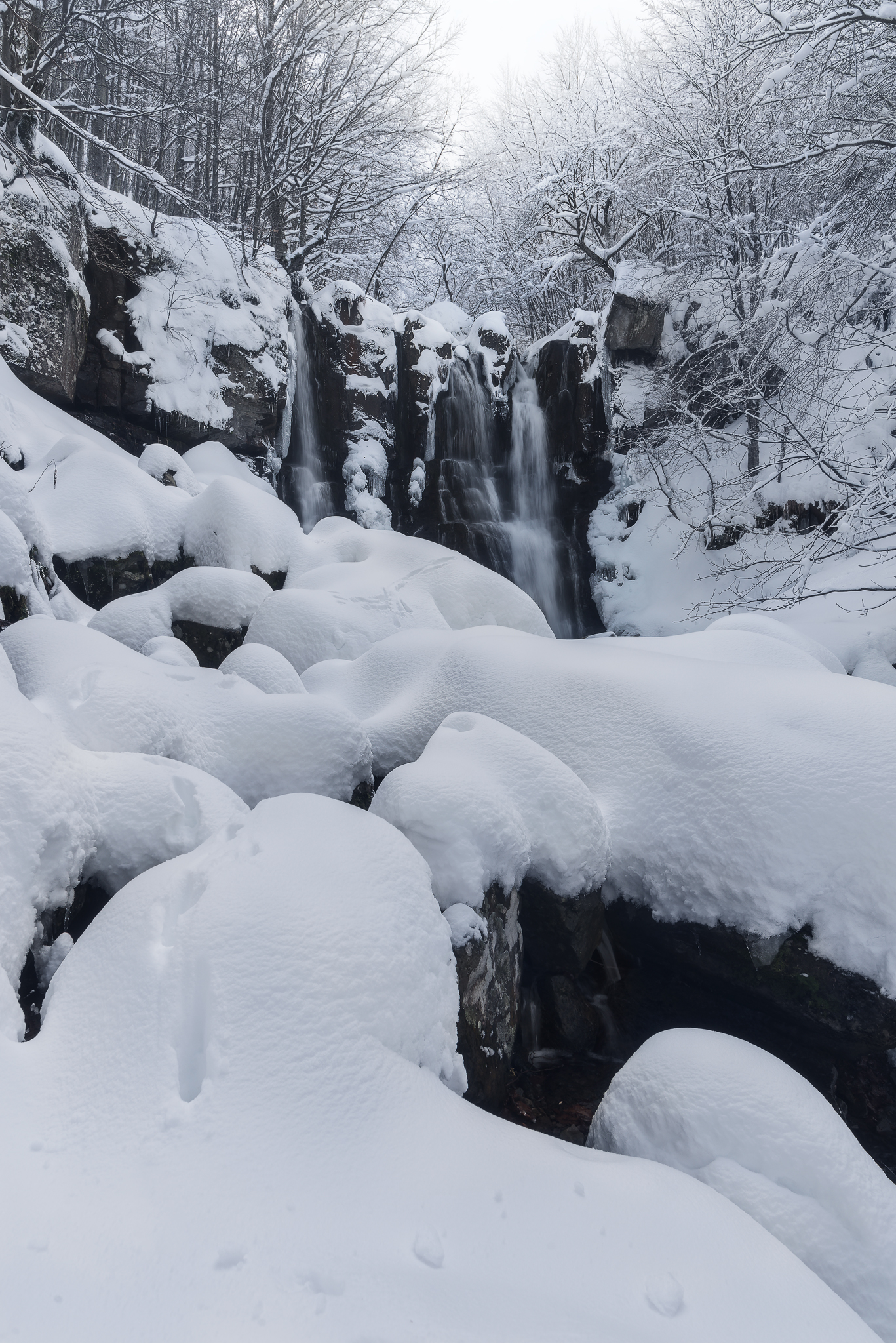 I saw a piece of Heaven