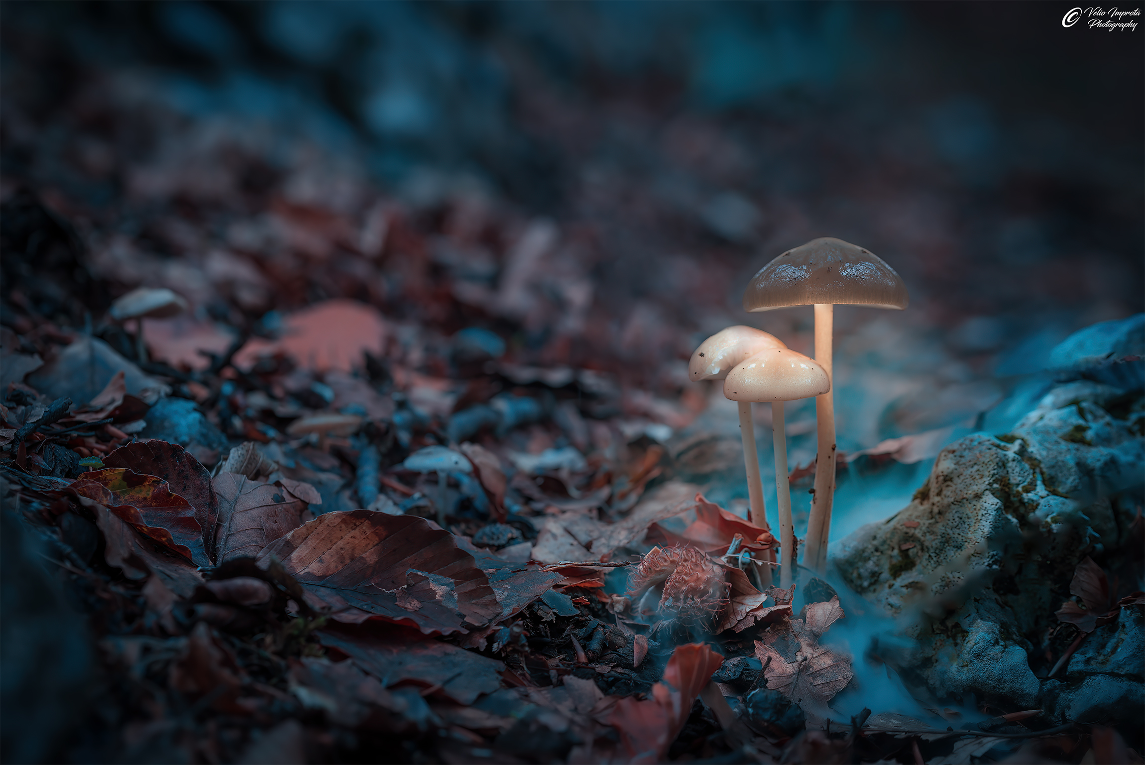 A trio of lights and fumes