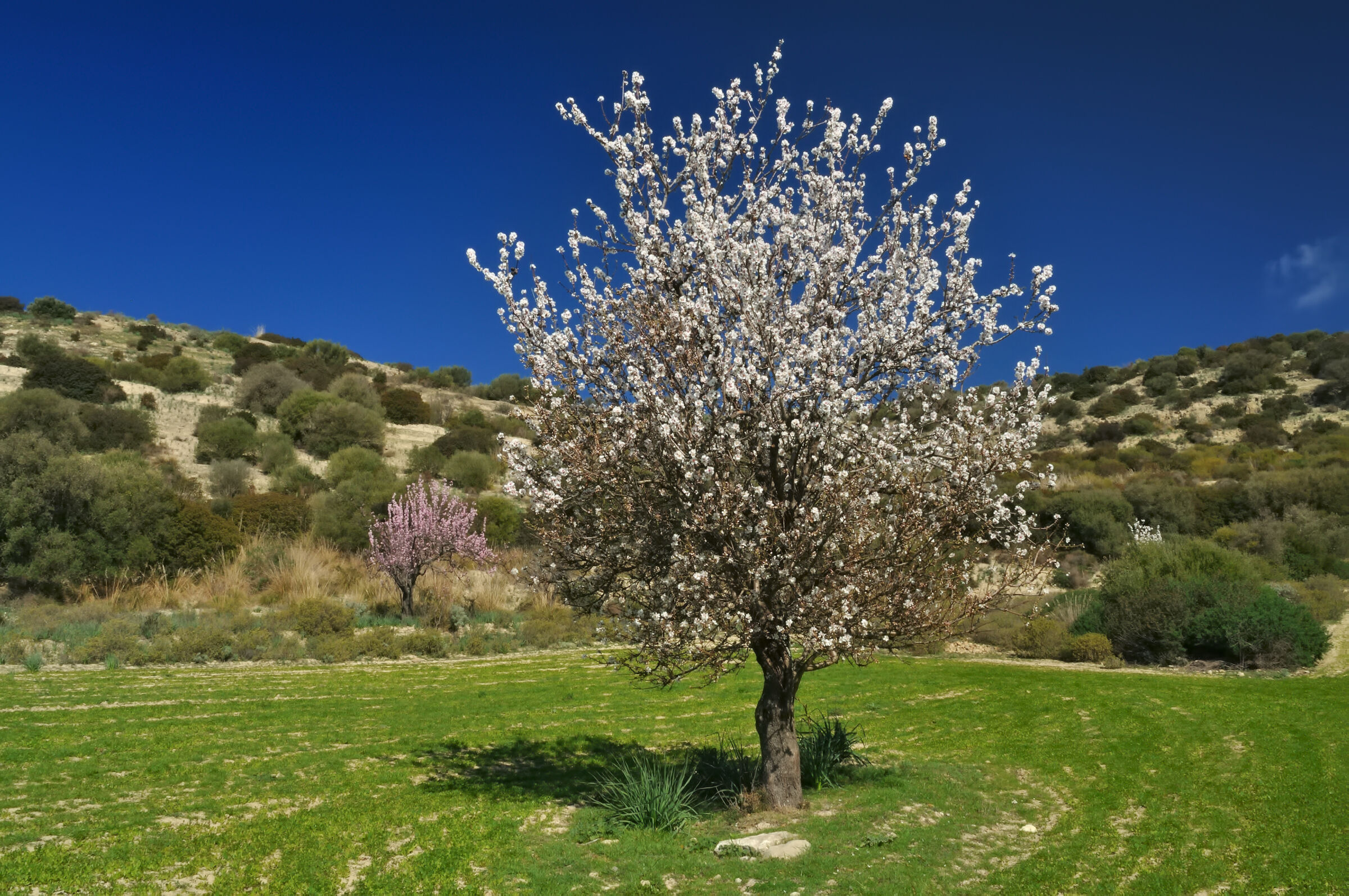 Scorci e colori di Sardegna