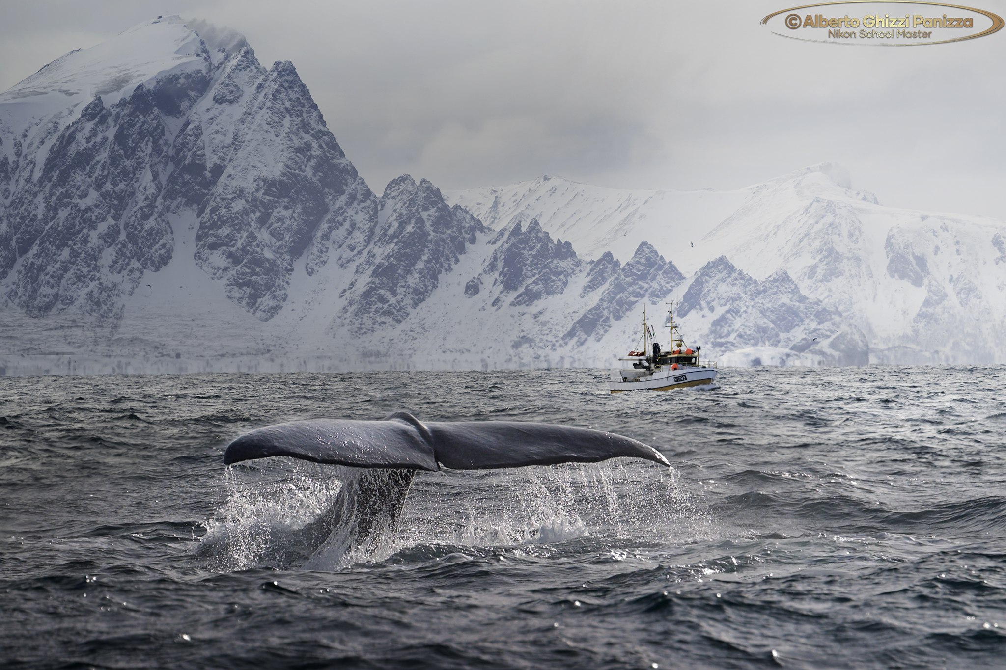 Splashes of water and light