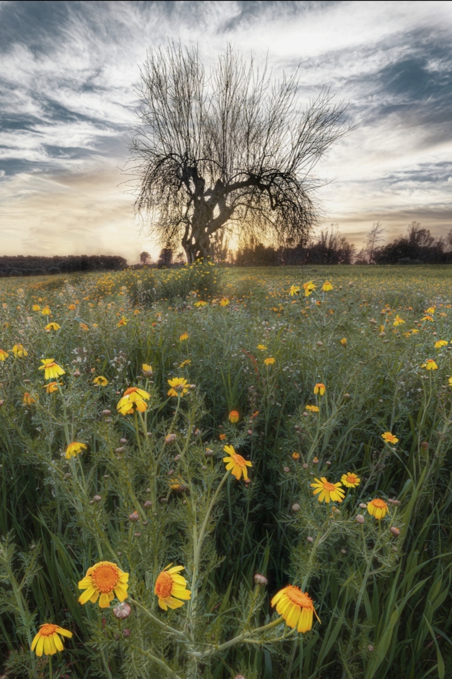 Inizio di una primavera inaspettta
