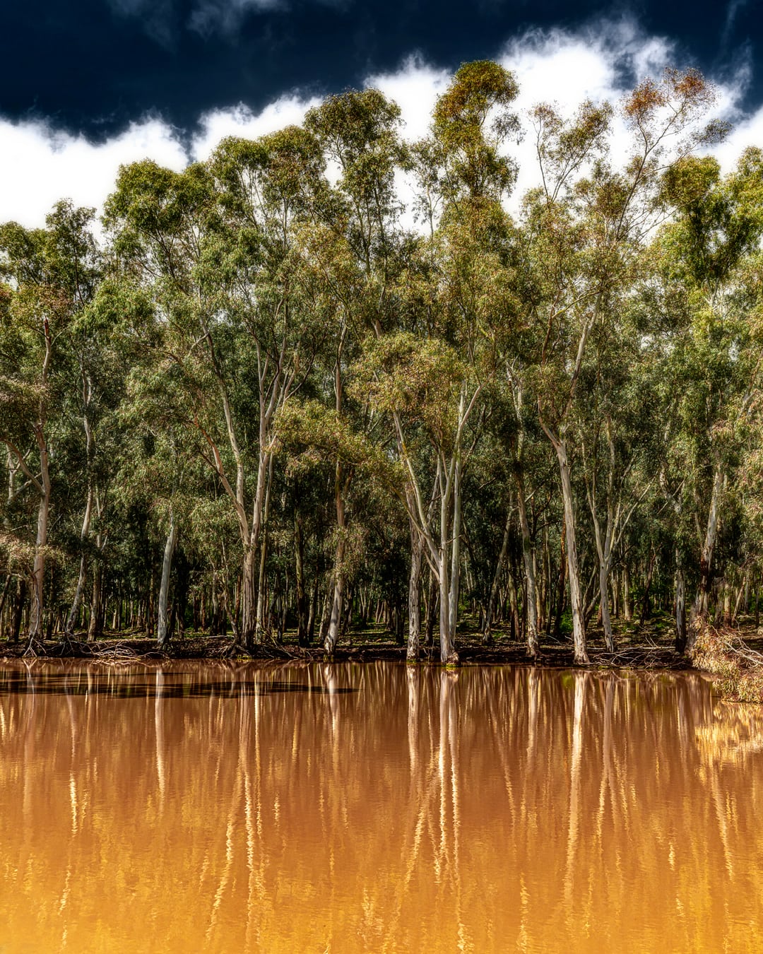 Non siamo in Amazzonia