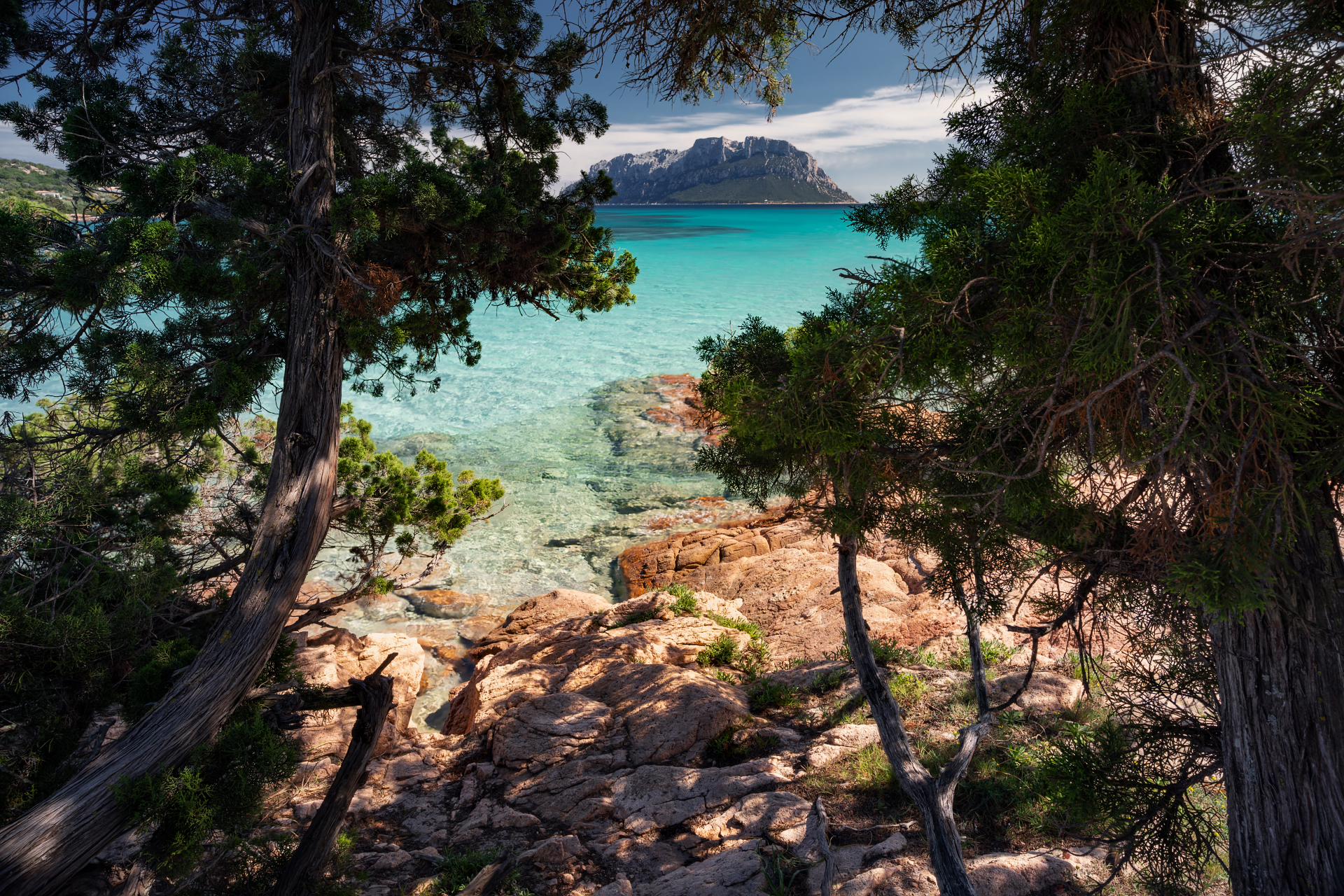 Sardegna