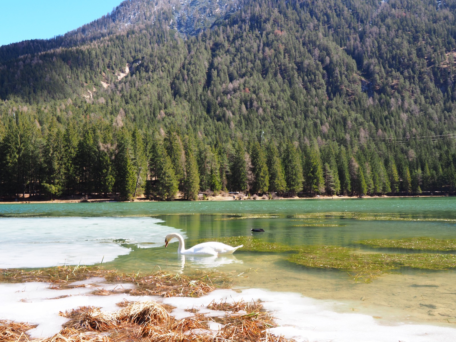 Lake Dobbiaco