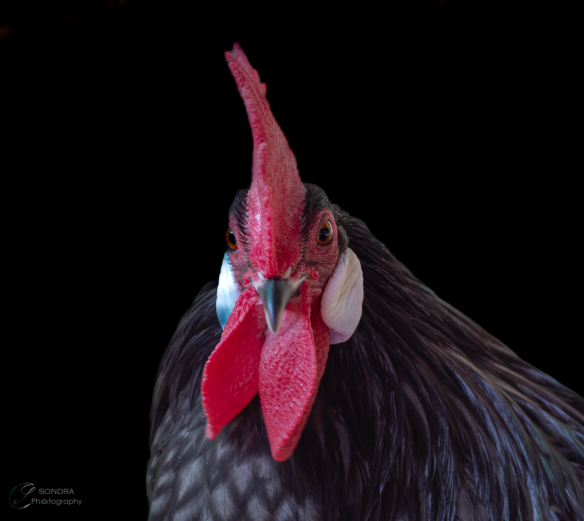 because you look at me....