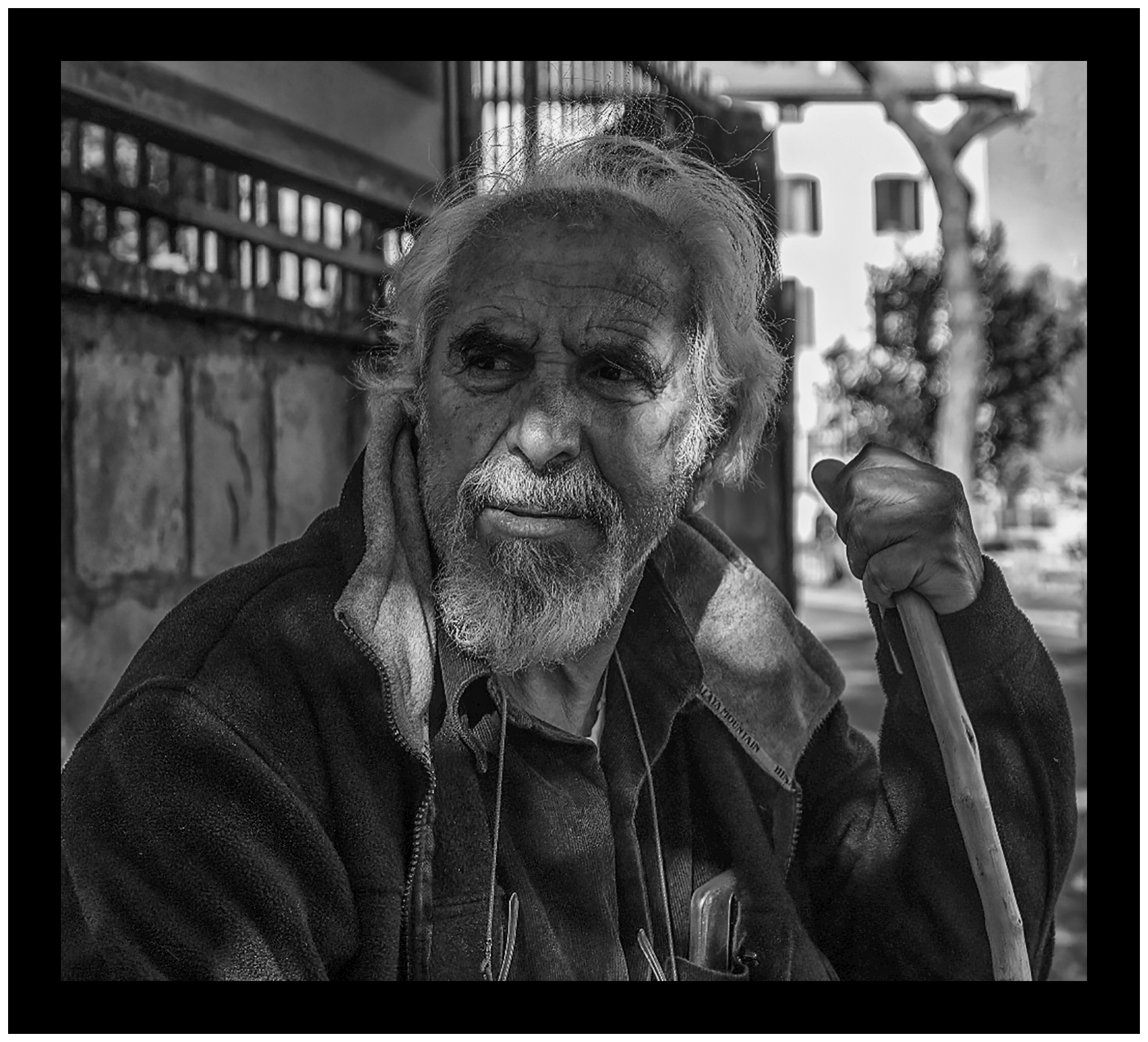 The old man and the stick