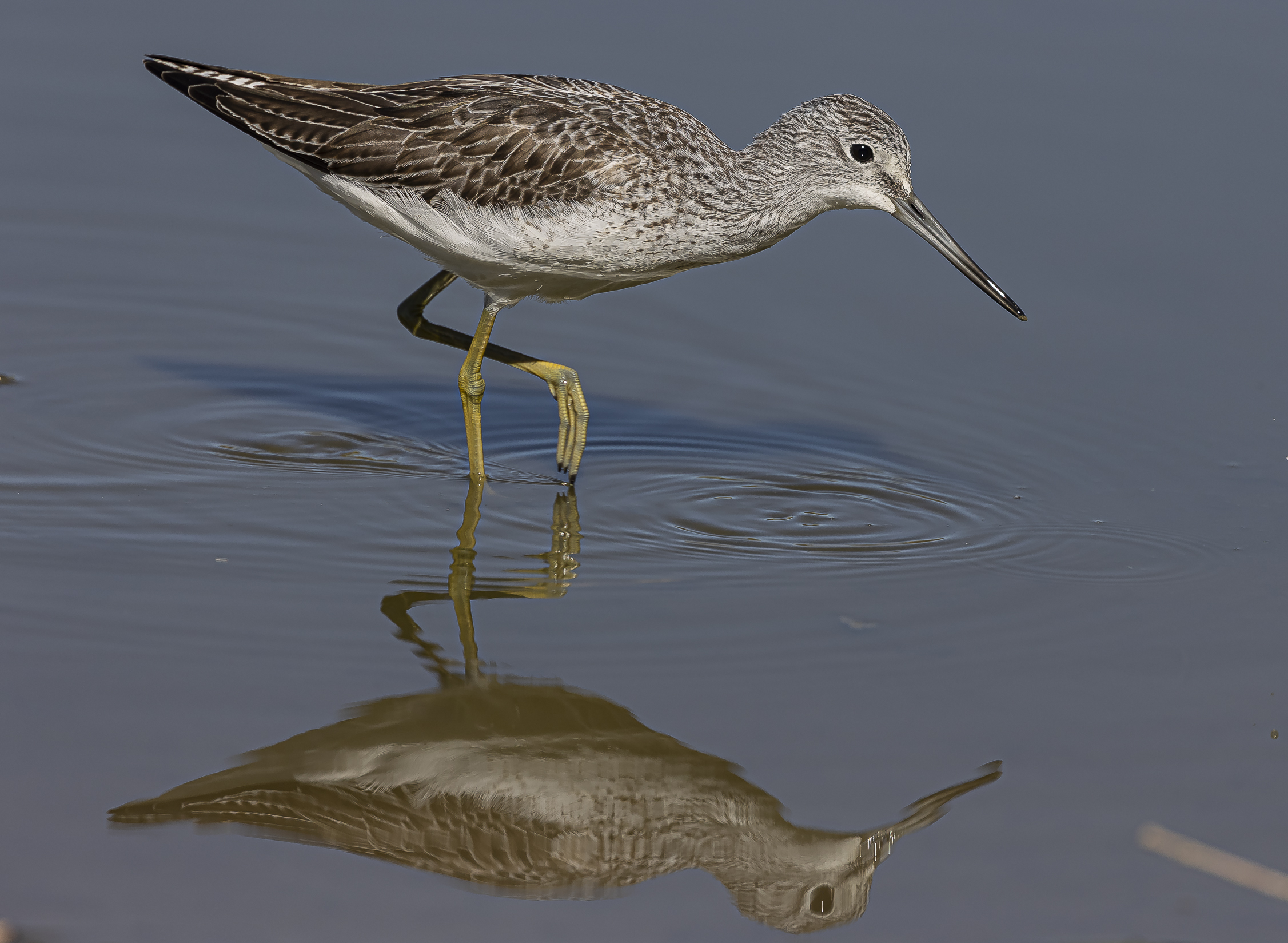 Walking on a mirror