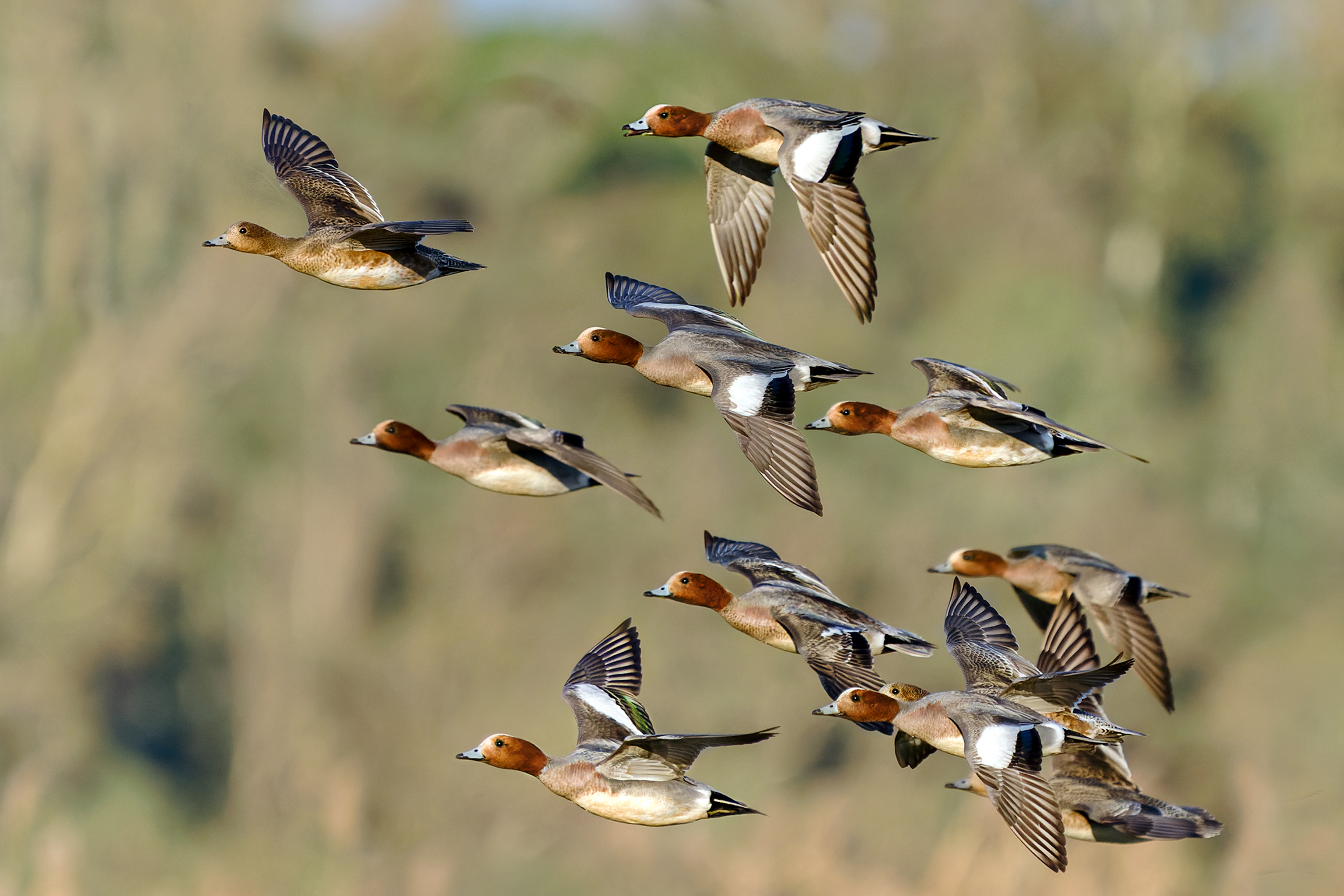 È tempo di partire... - Fischioni al tramonto