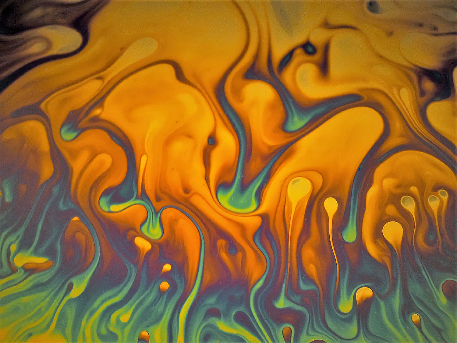 iridescenze02