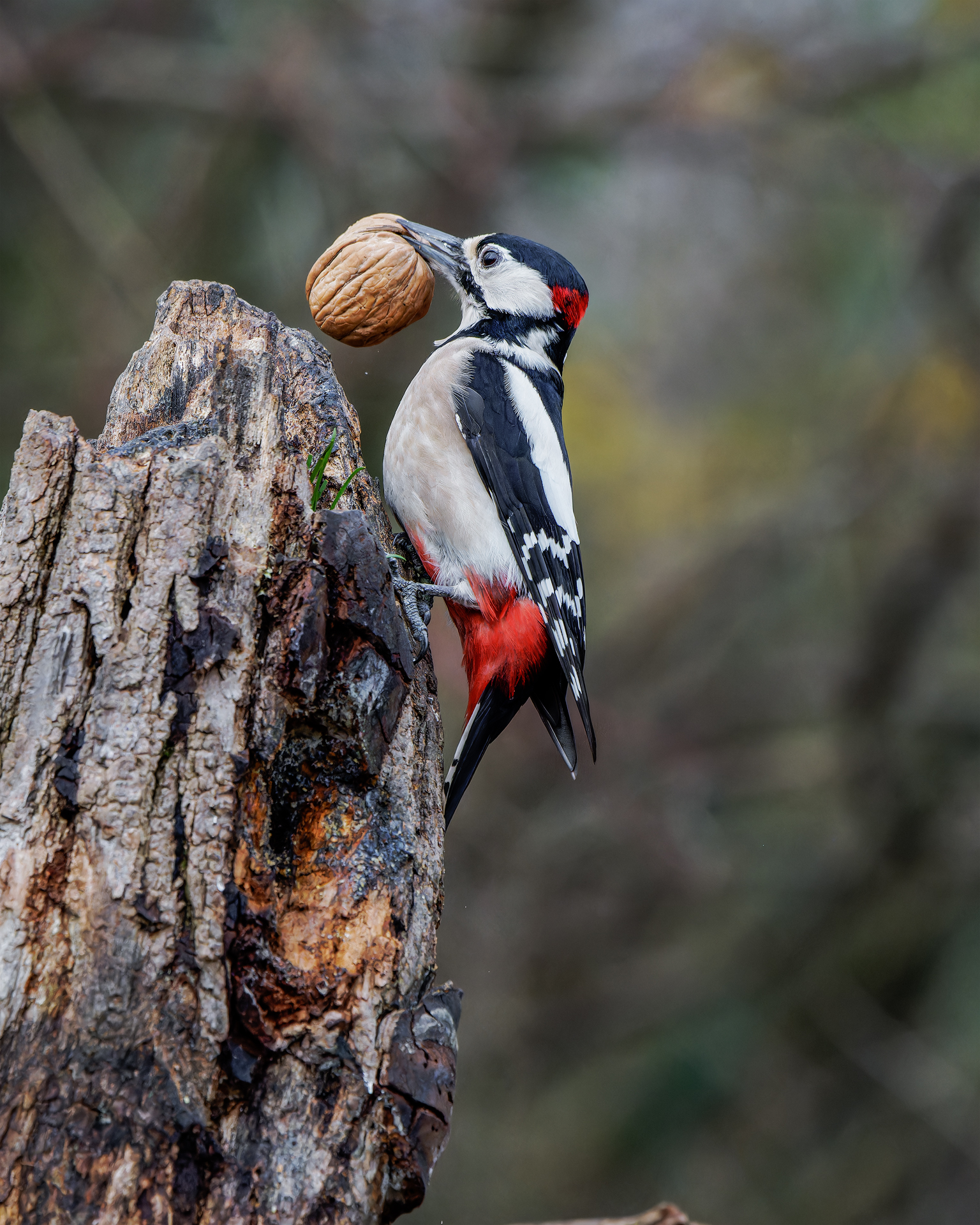 The end sharpens the ingenuity