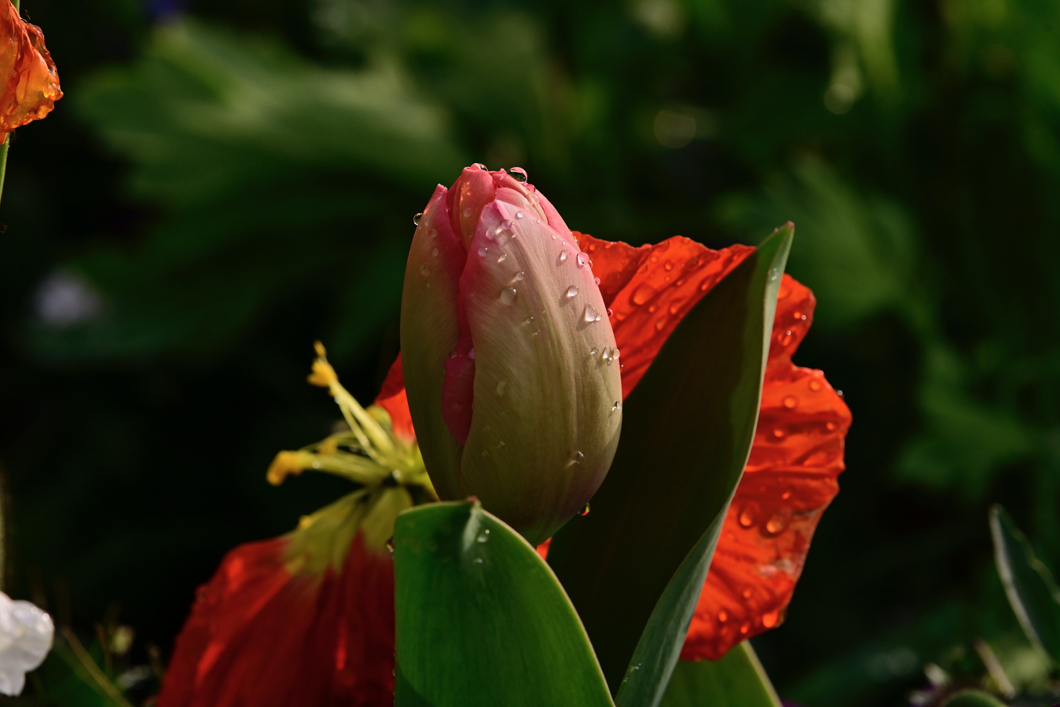 Untitled Photo