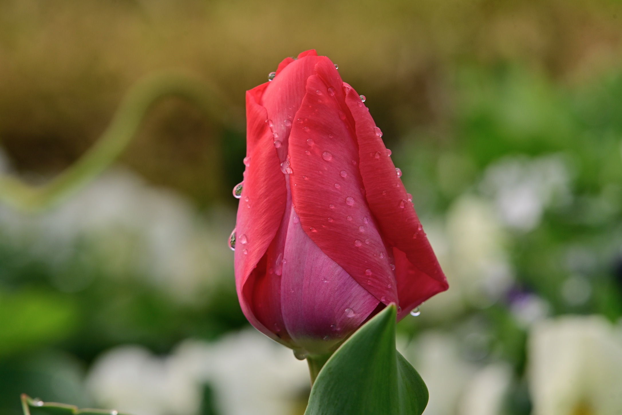 Untitled Photo