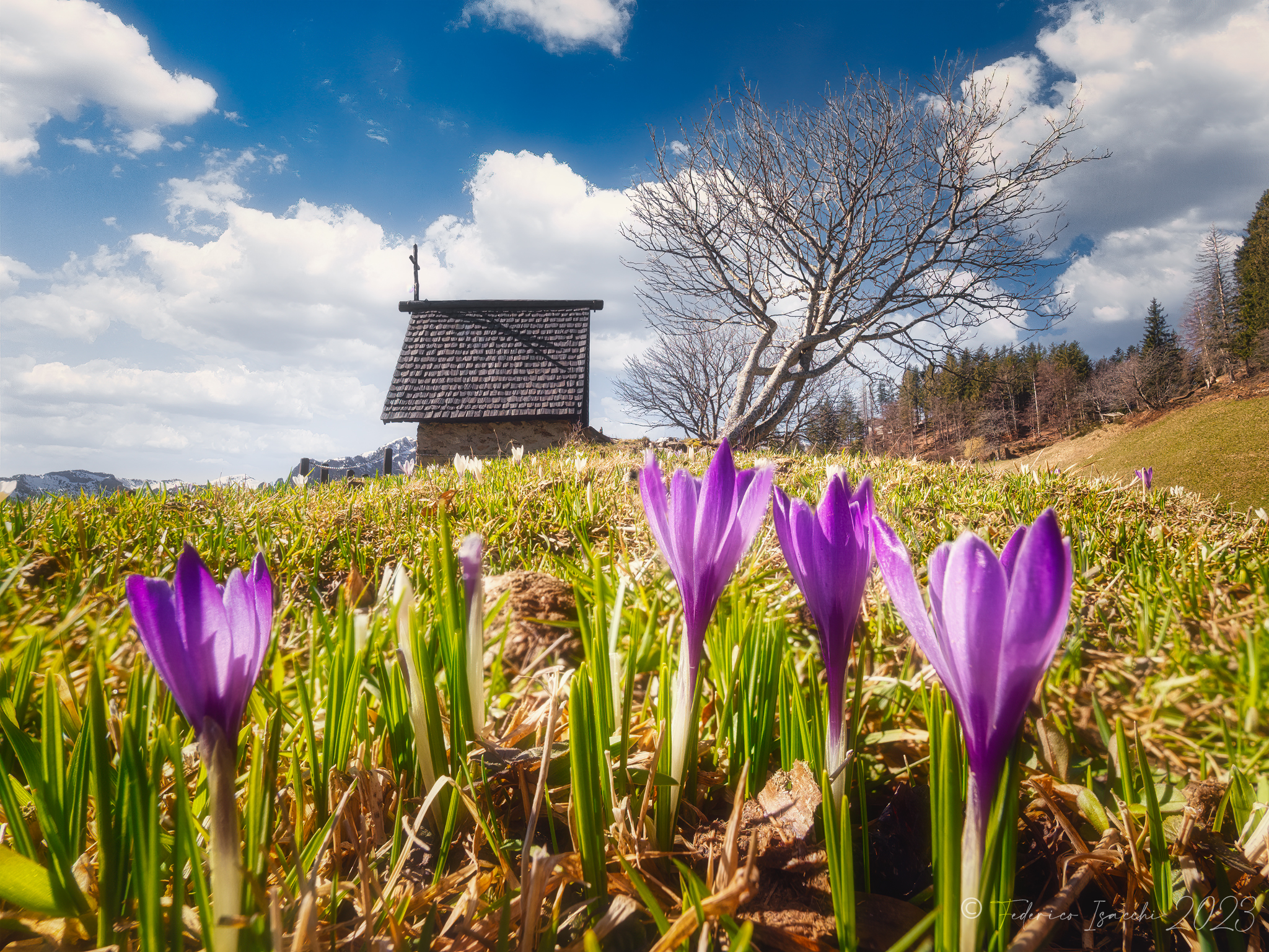 Spring