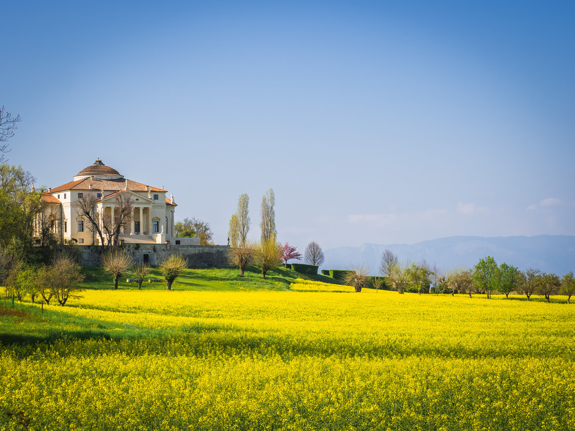 la Rotonda ..in giallo