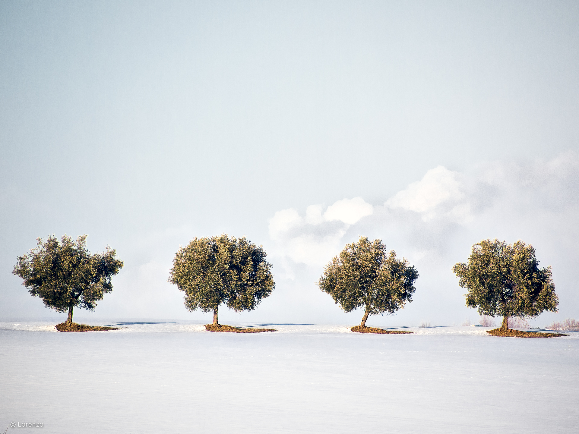 Macerata countryside