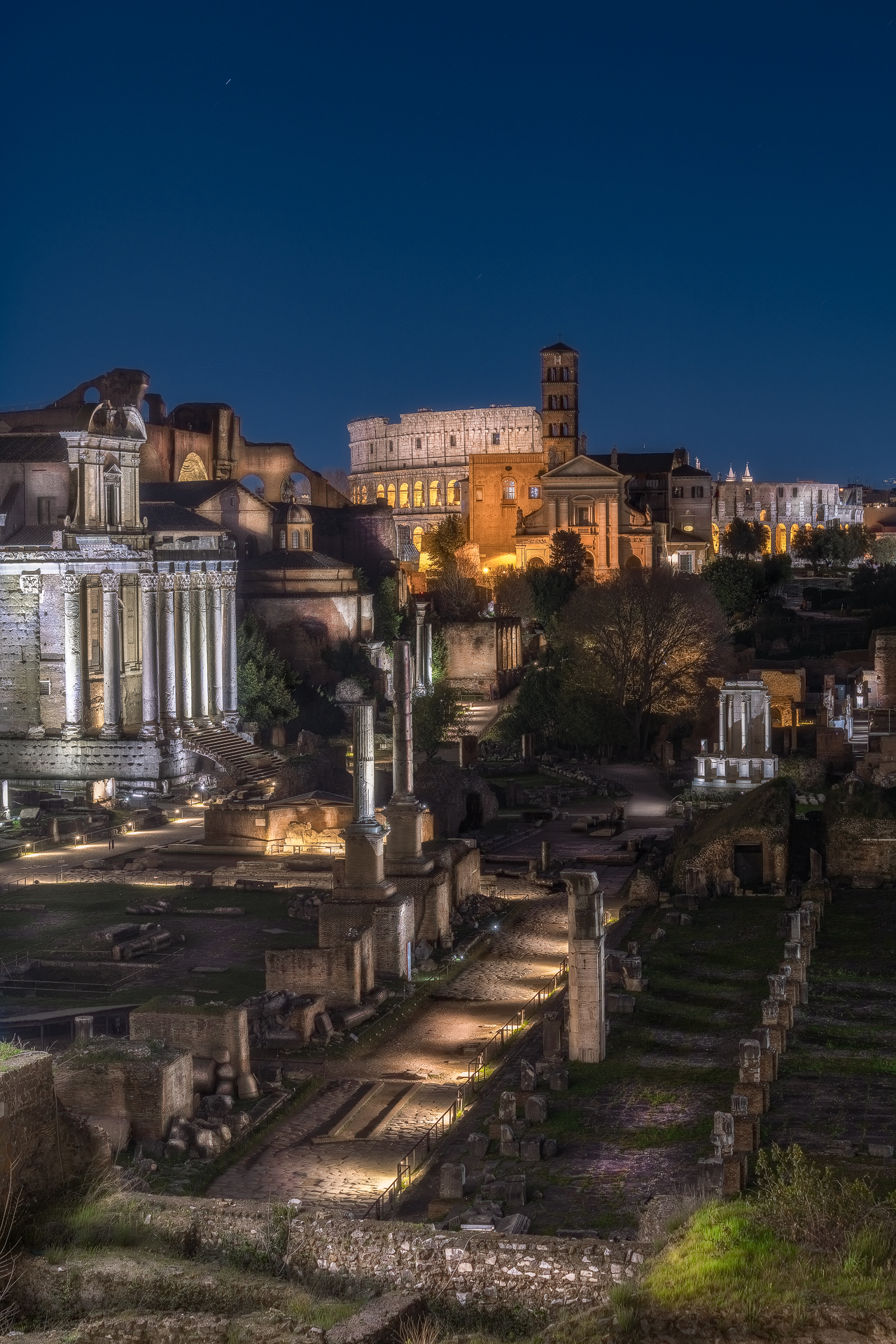 The night at the Roman Forum