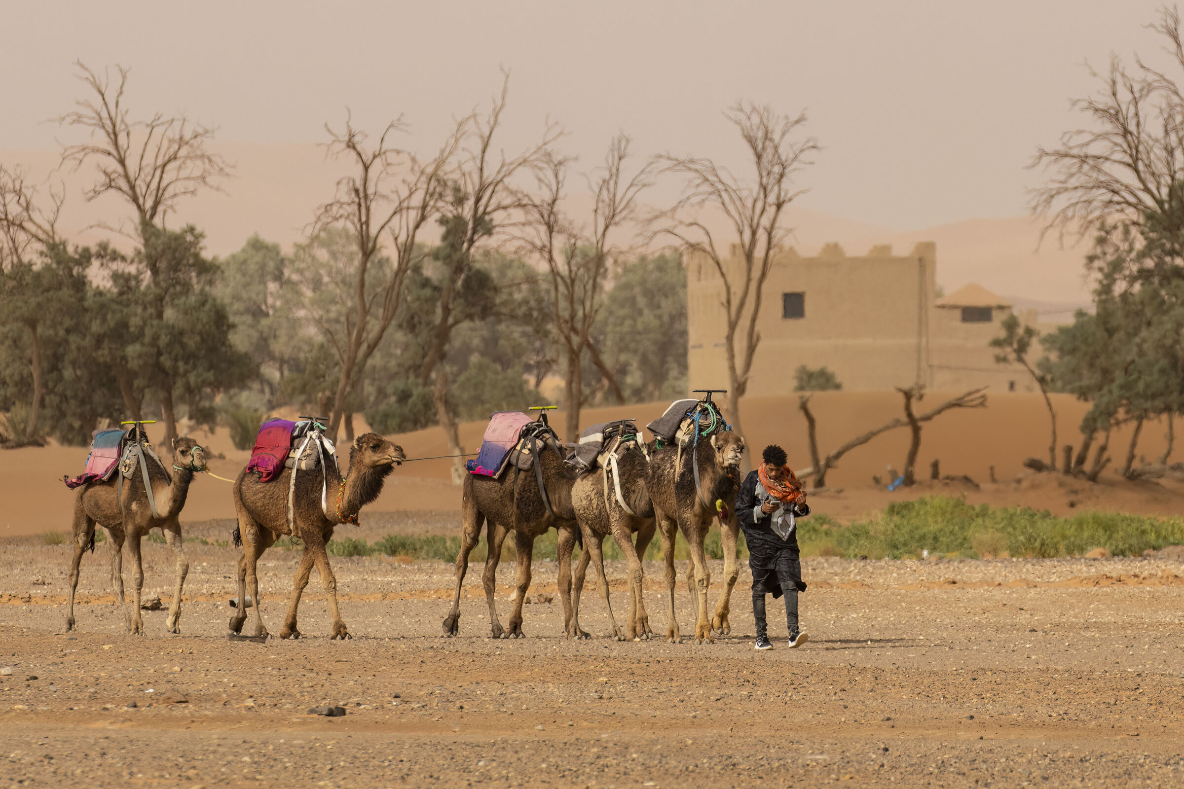 Ancient caravan that orients itself with ...... Maps