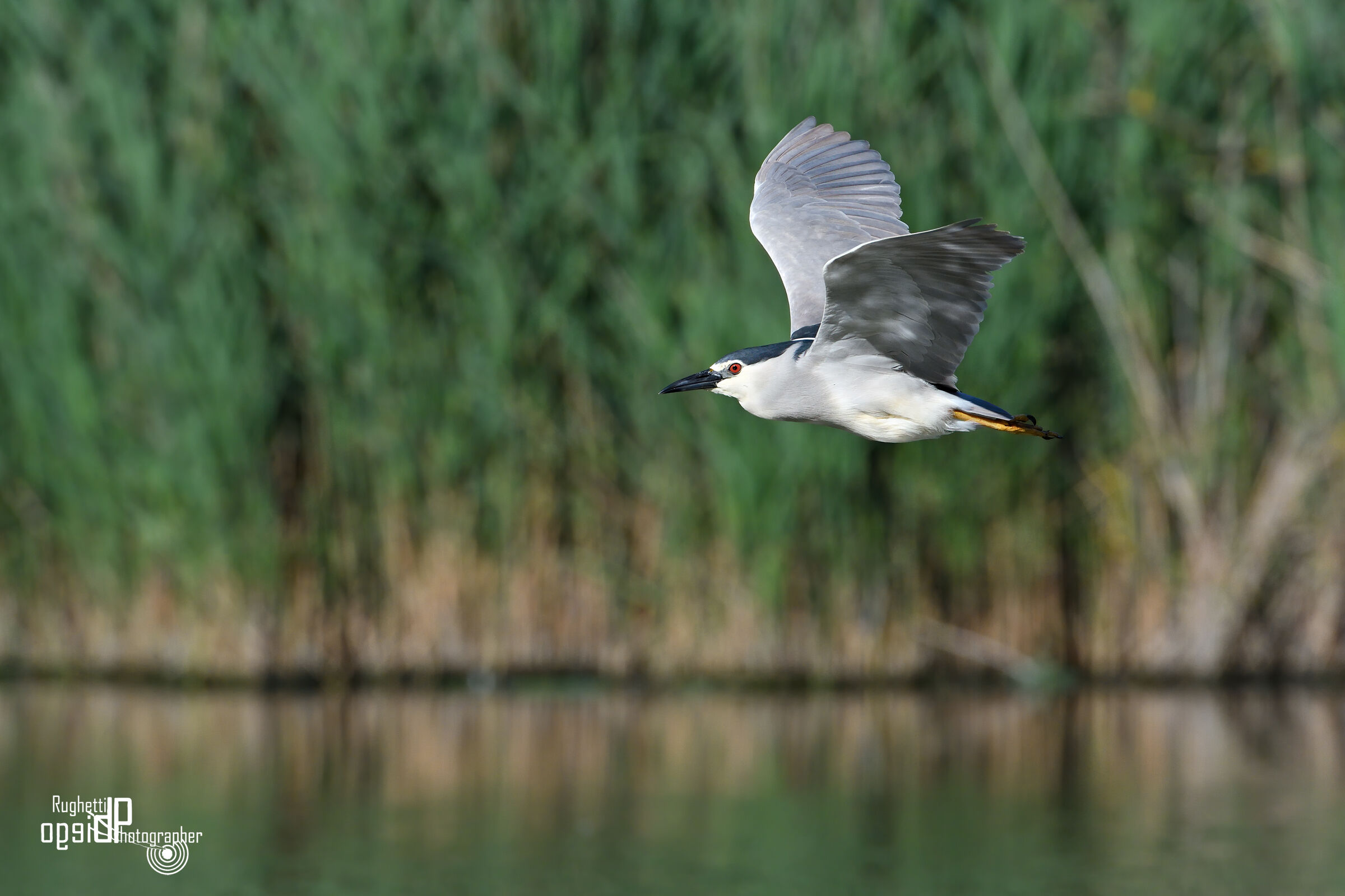 Nighthood in flight