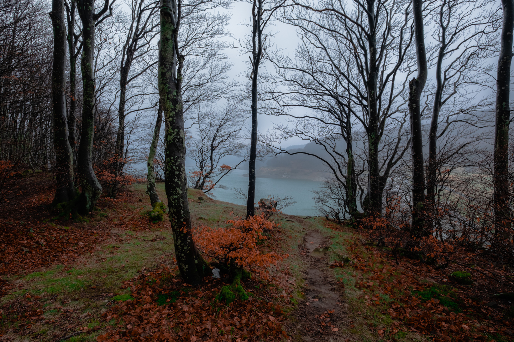 The path that leads to the lake