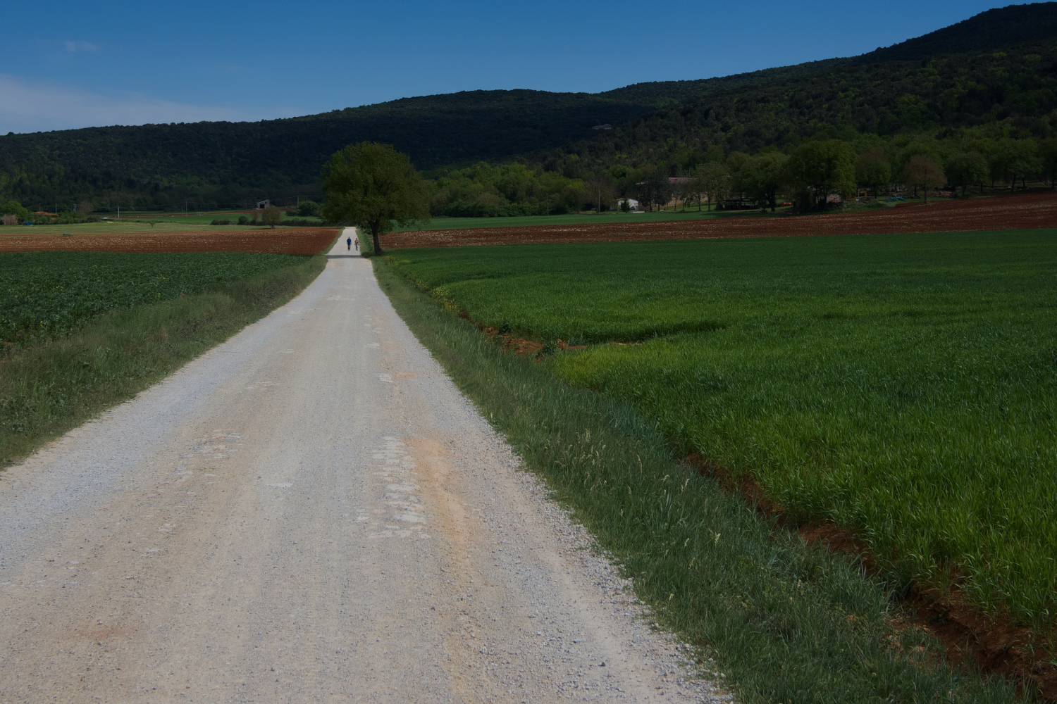 Via Francigena