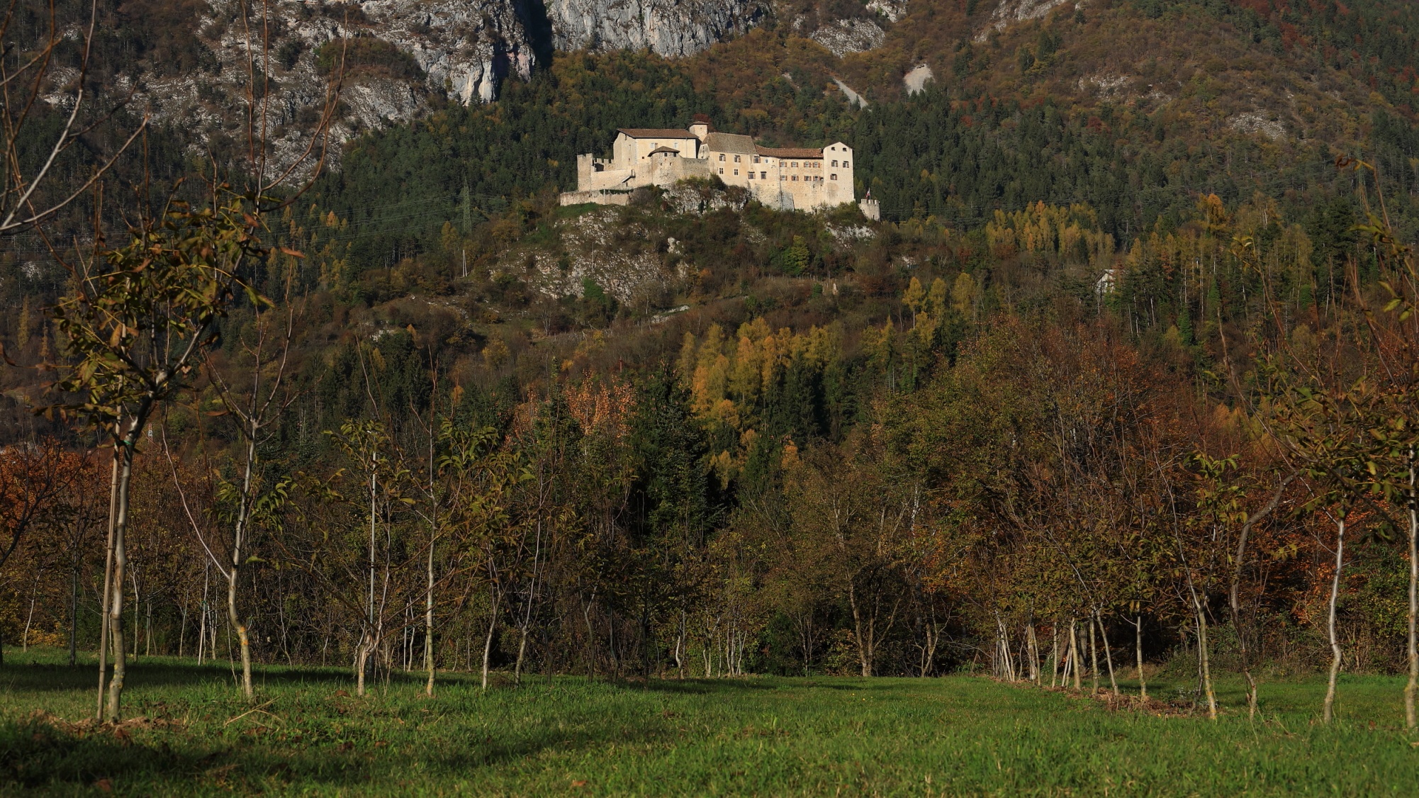 Le bleggiane......noci