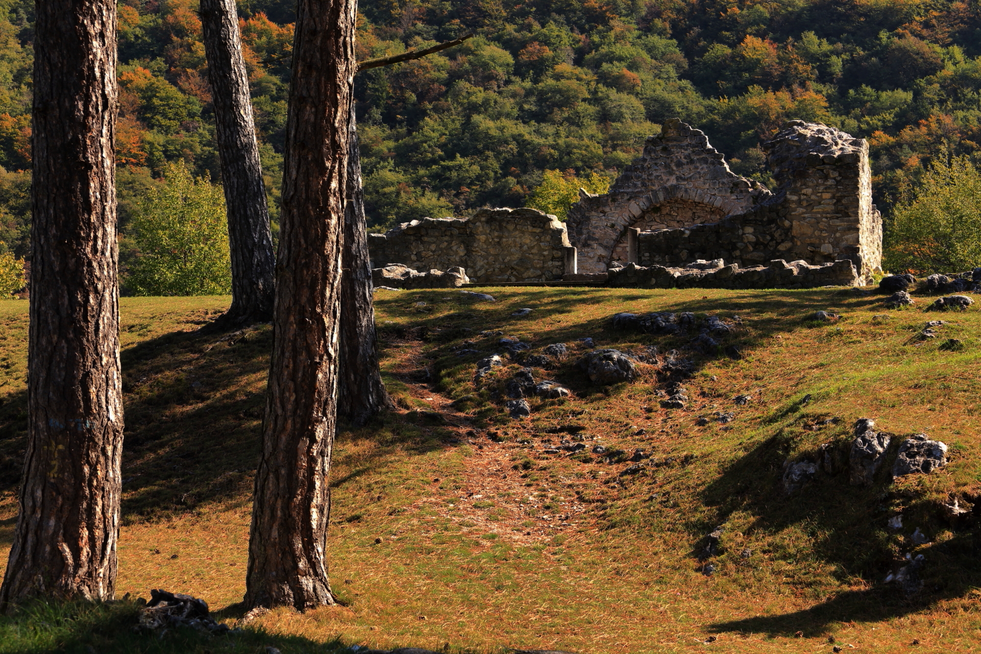 I silenzi di S.Martino