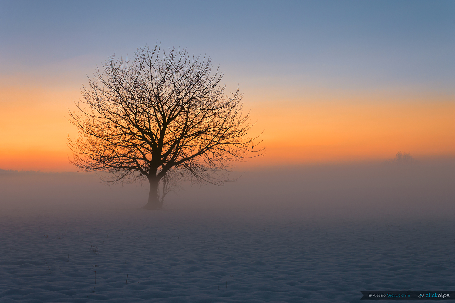 Silence