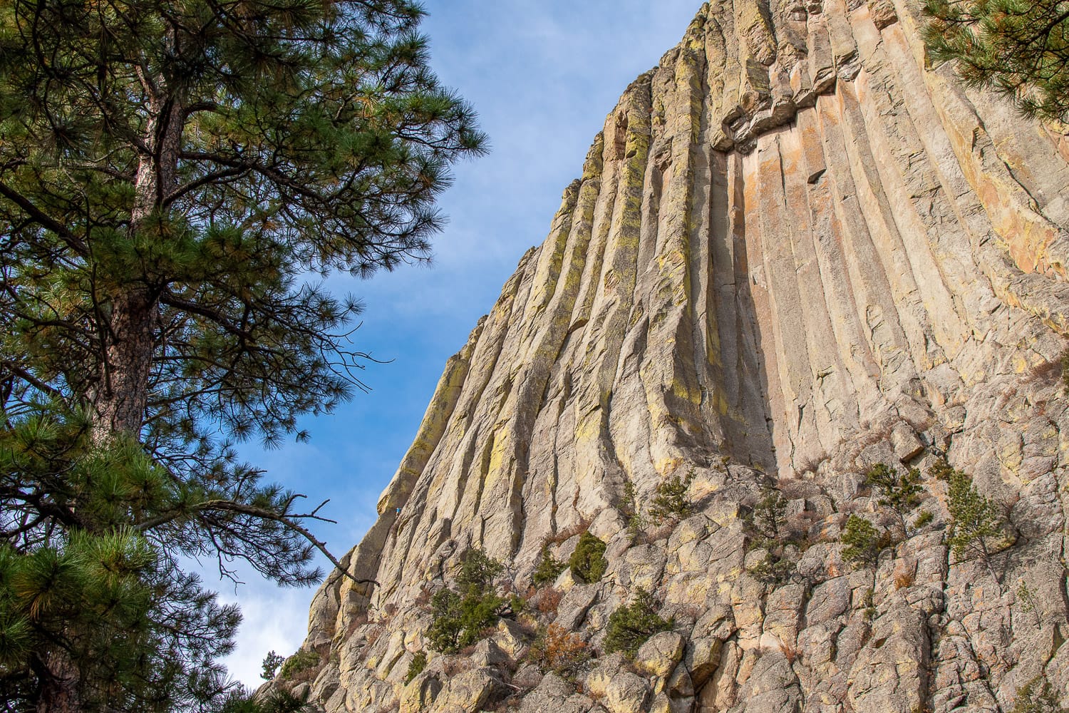 Devils Tower in Wyoming