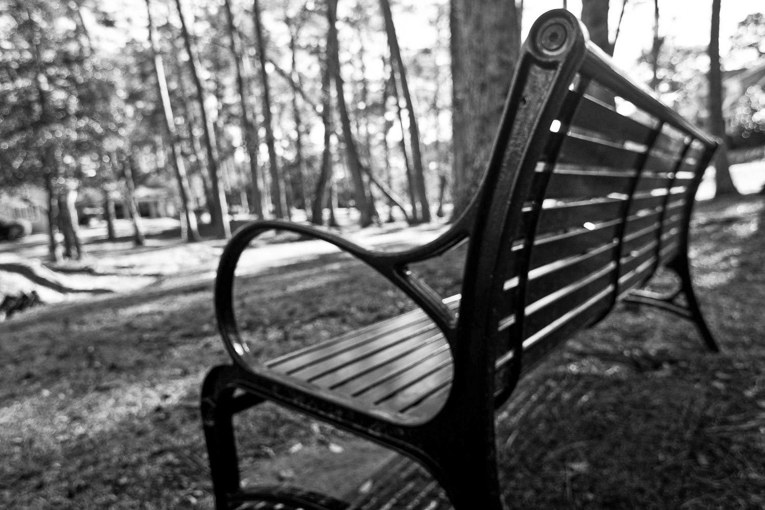 Park Bench in Park, Fayetteville, NC