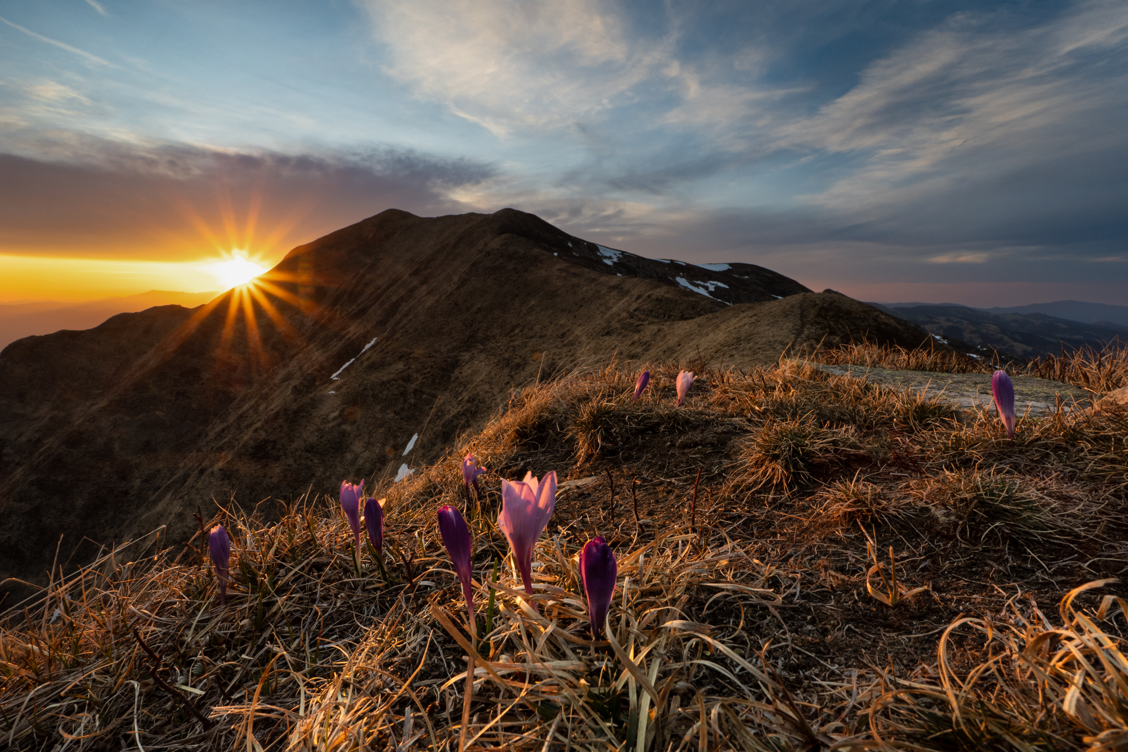 Spring at the summit