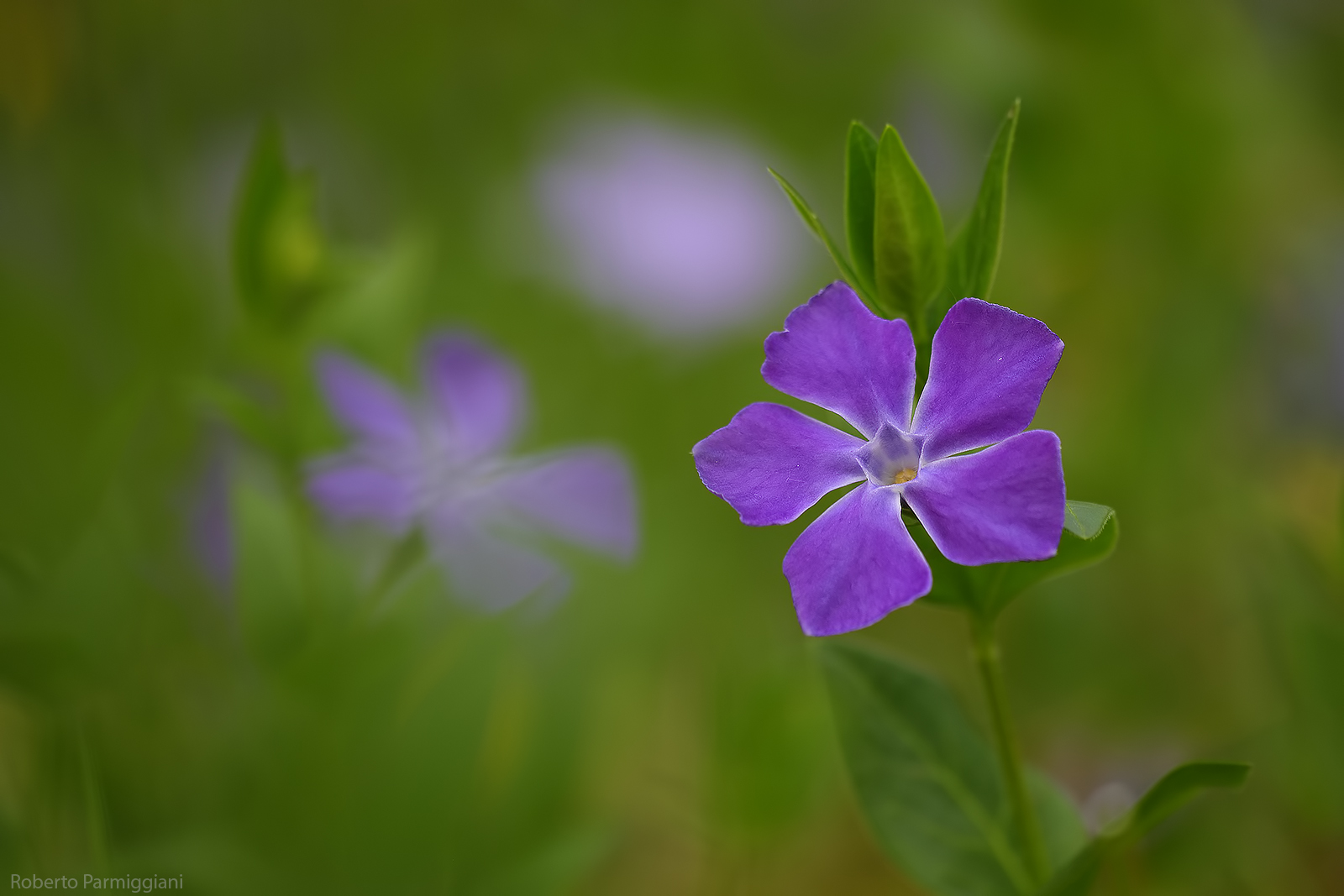 Spring suggestions