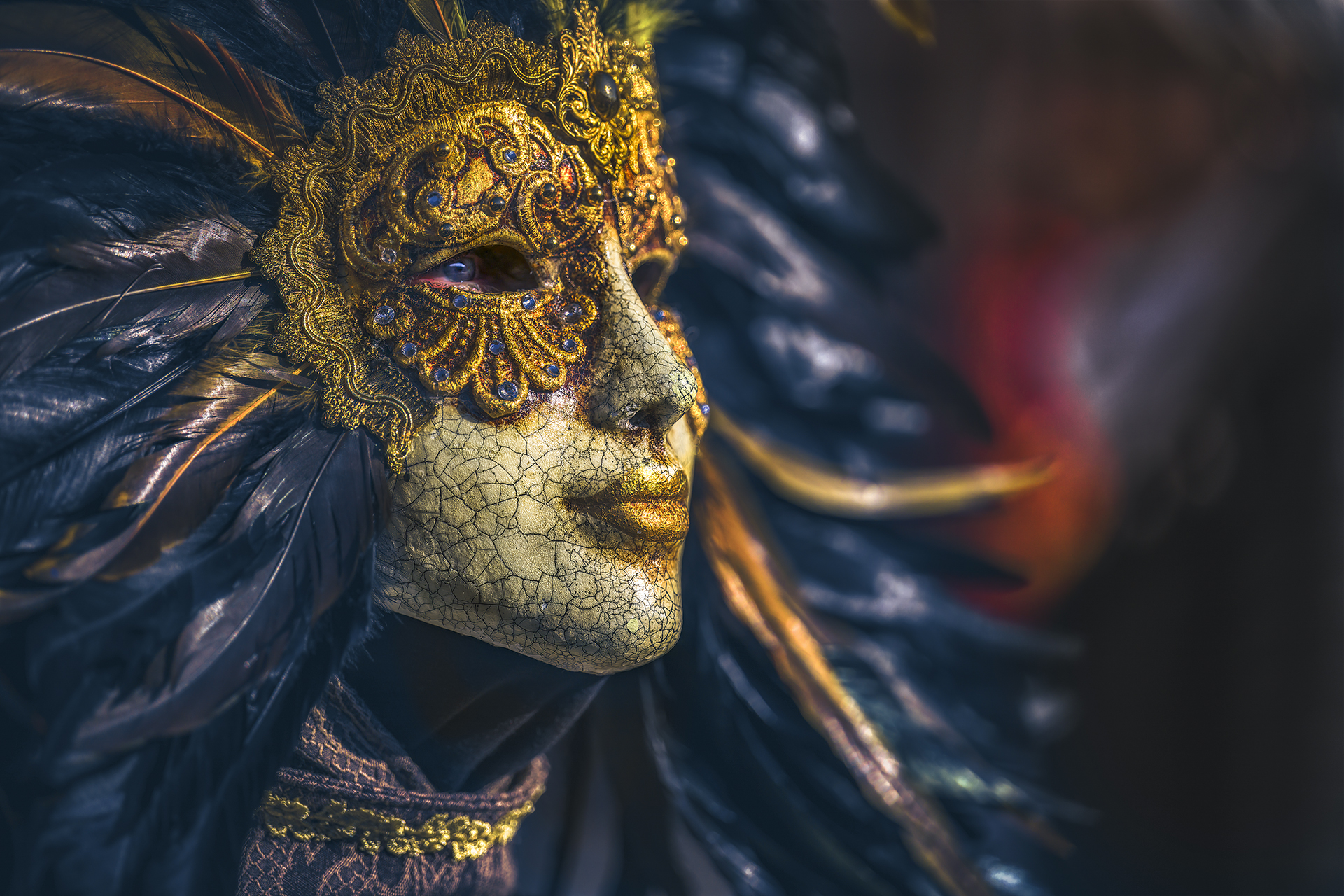 Feathers