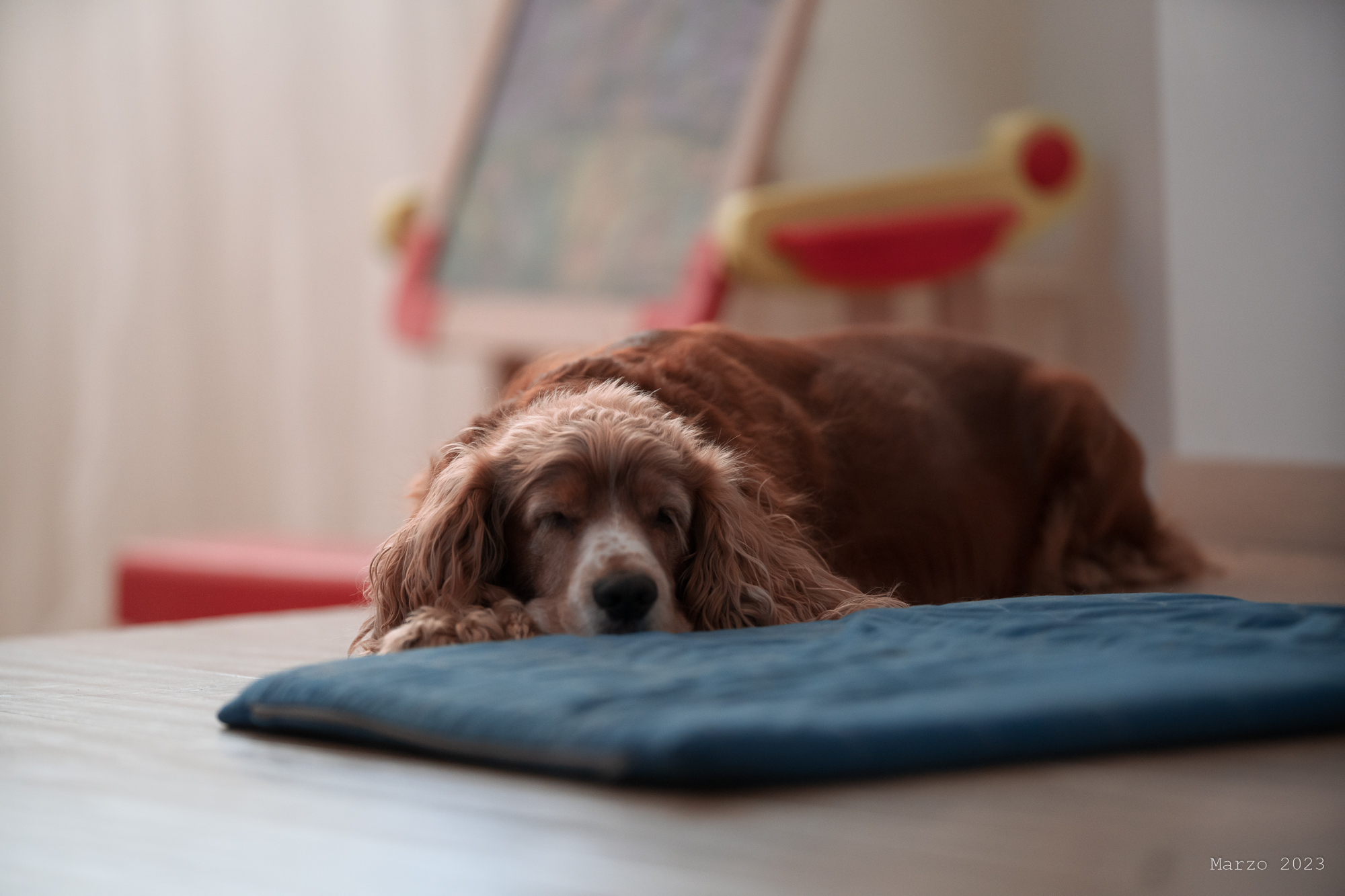 Gustavo fa la guardia