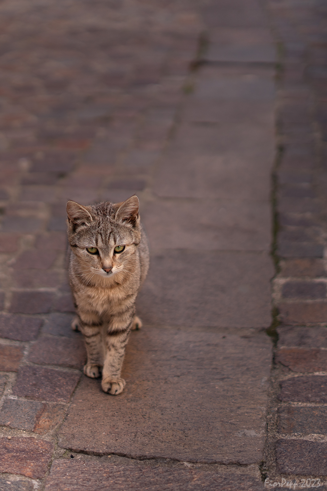 Walking between the lines