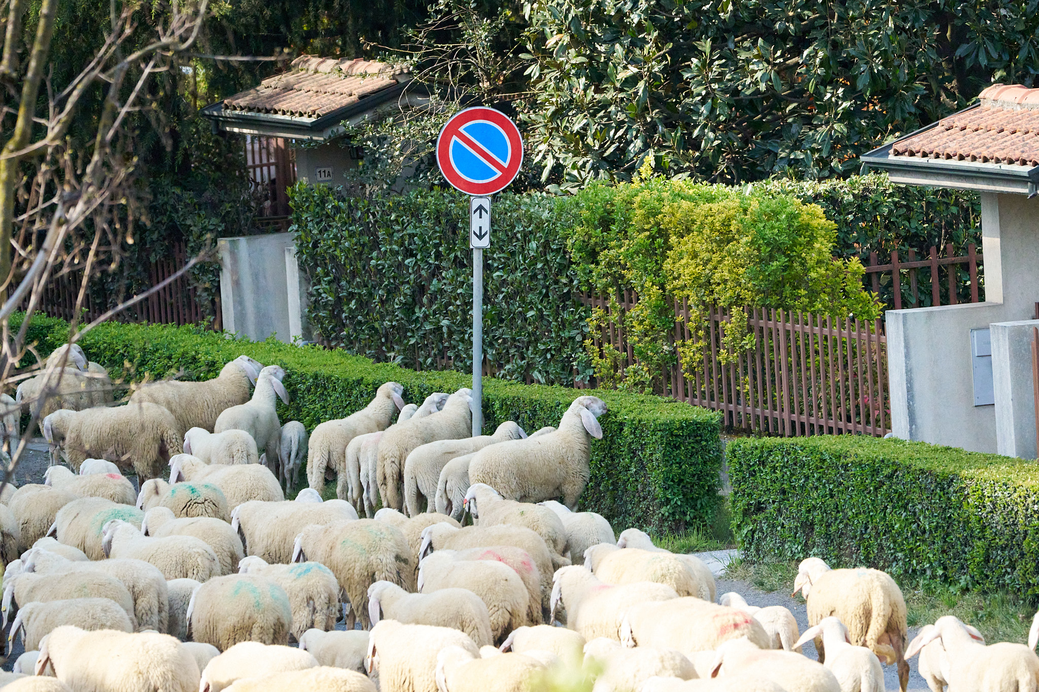 No parking