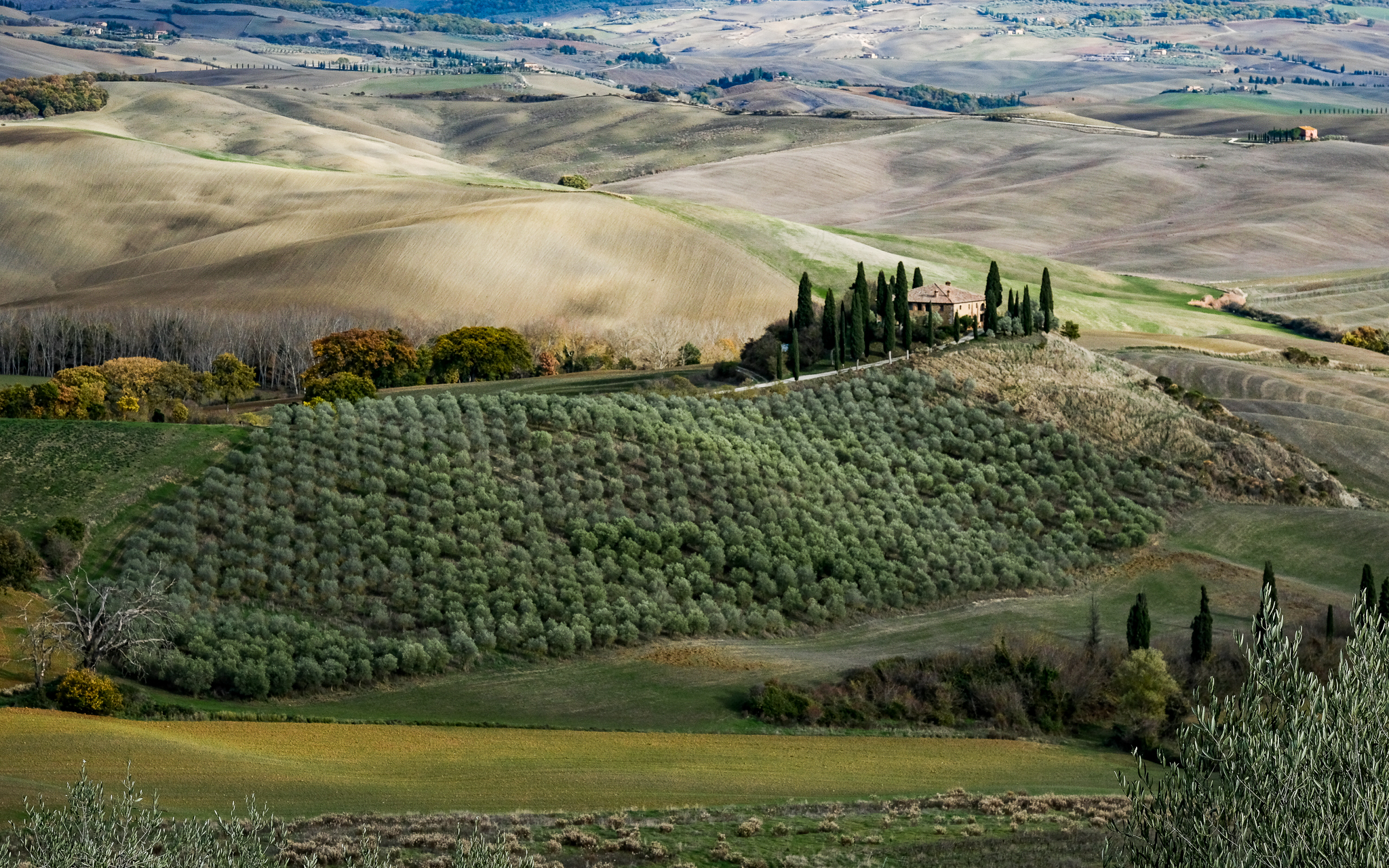 Belvedere, San Quirico d'Orcia
