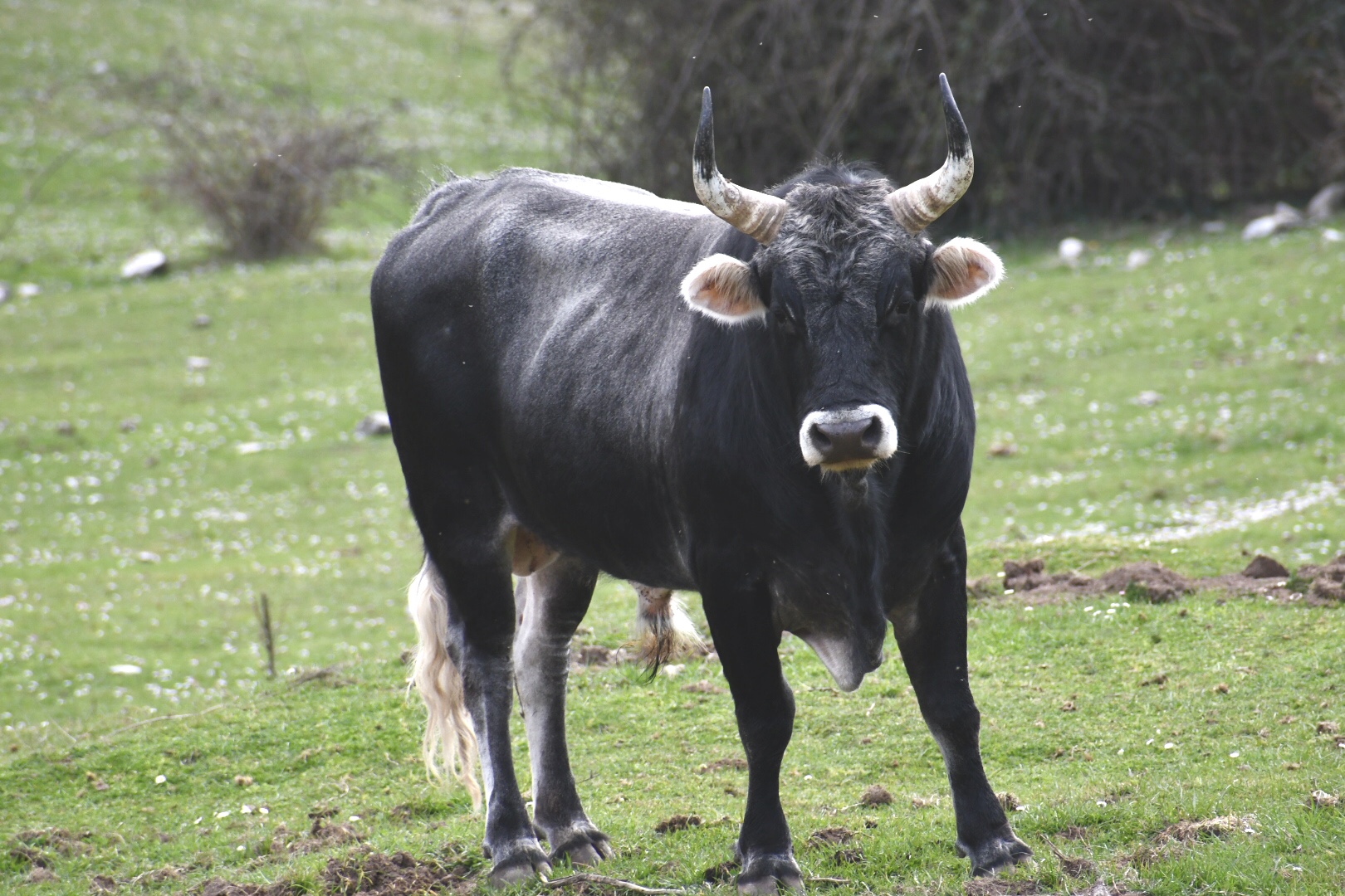 Un attimo di terrore ?