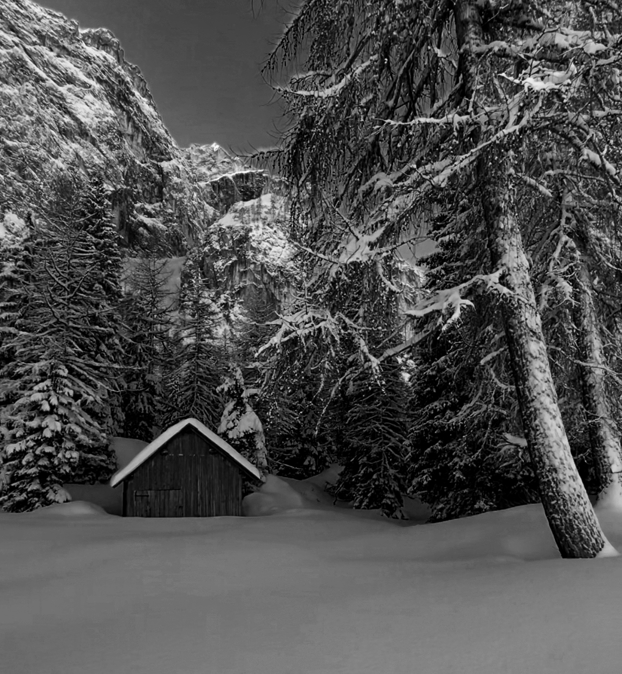 Snowfall