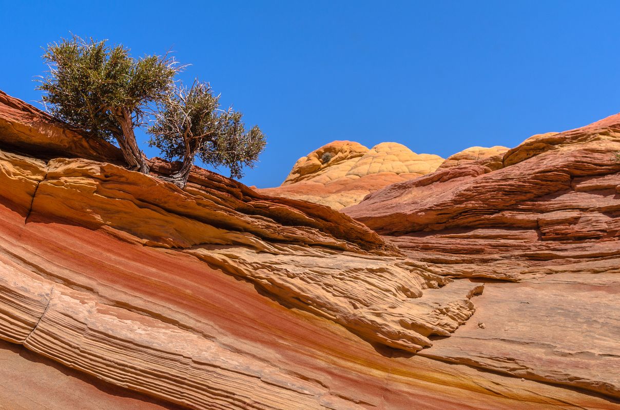 USA - Paria Canyon-Vermilion Cliffs - Utah