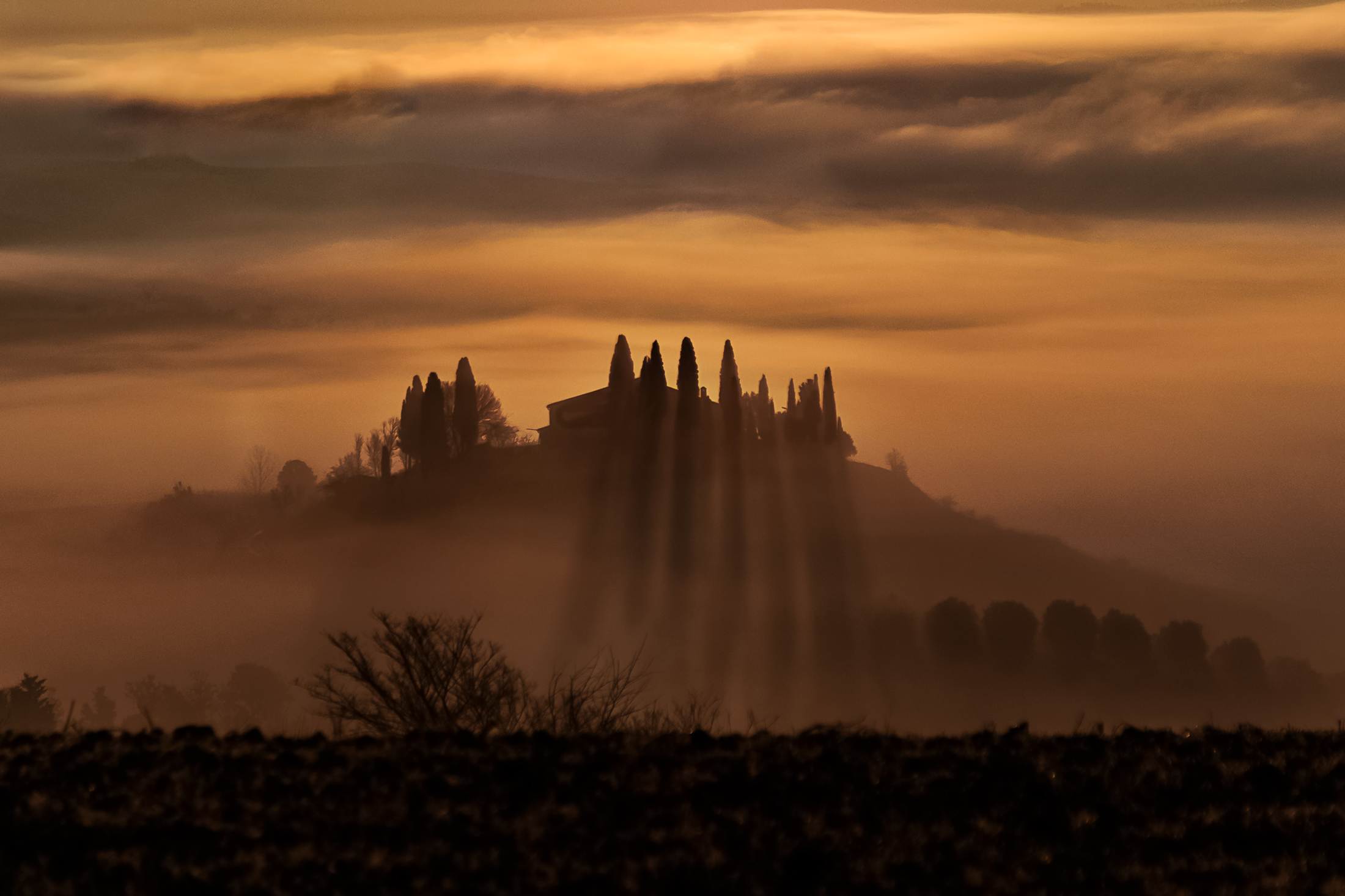 Silhoutte