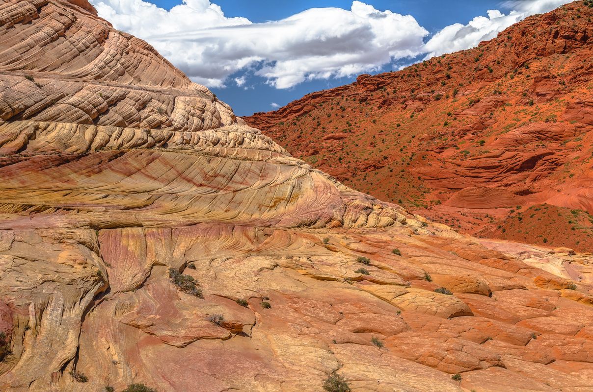 Paria Canyon-Vermilion Cliffs - Utah