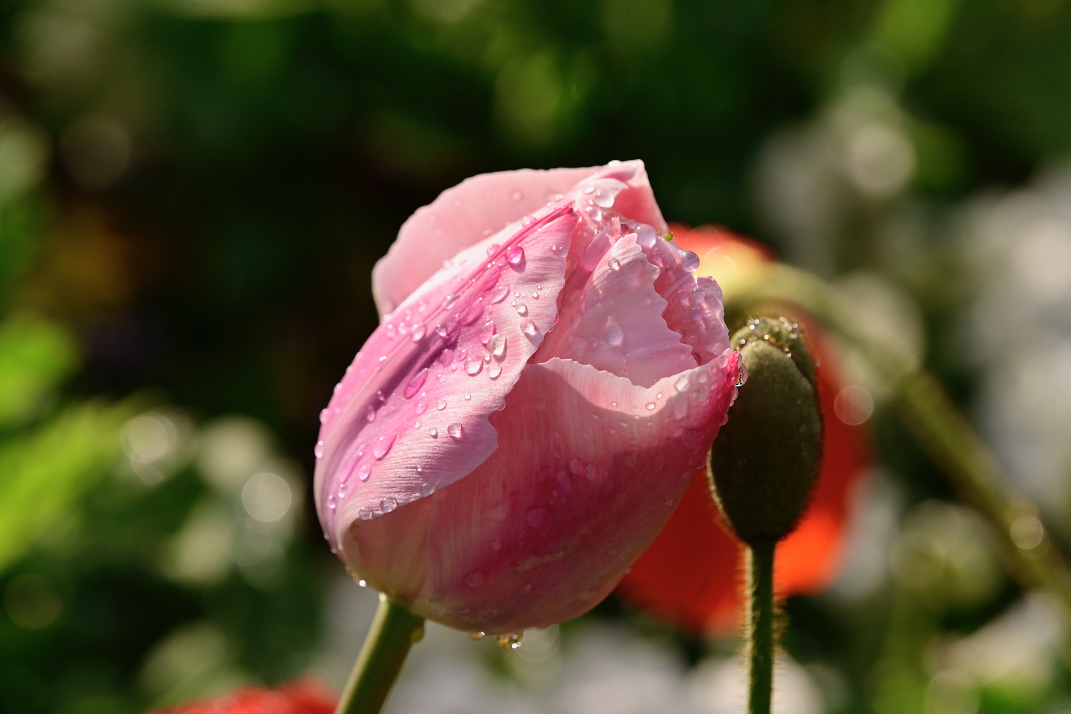 Untitled Photo